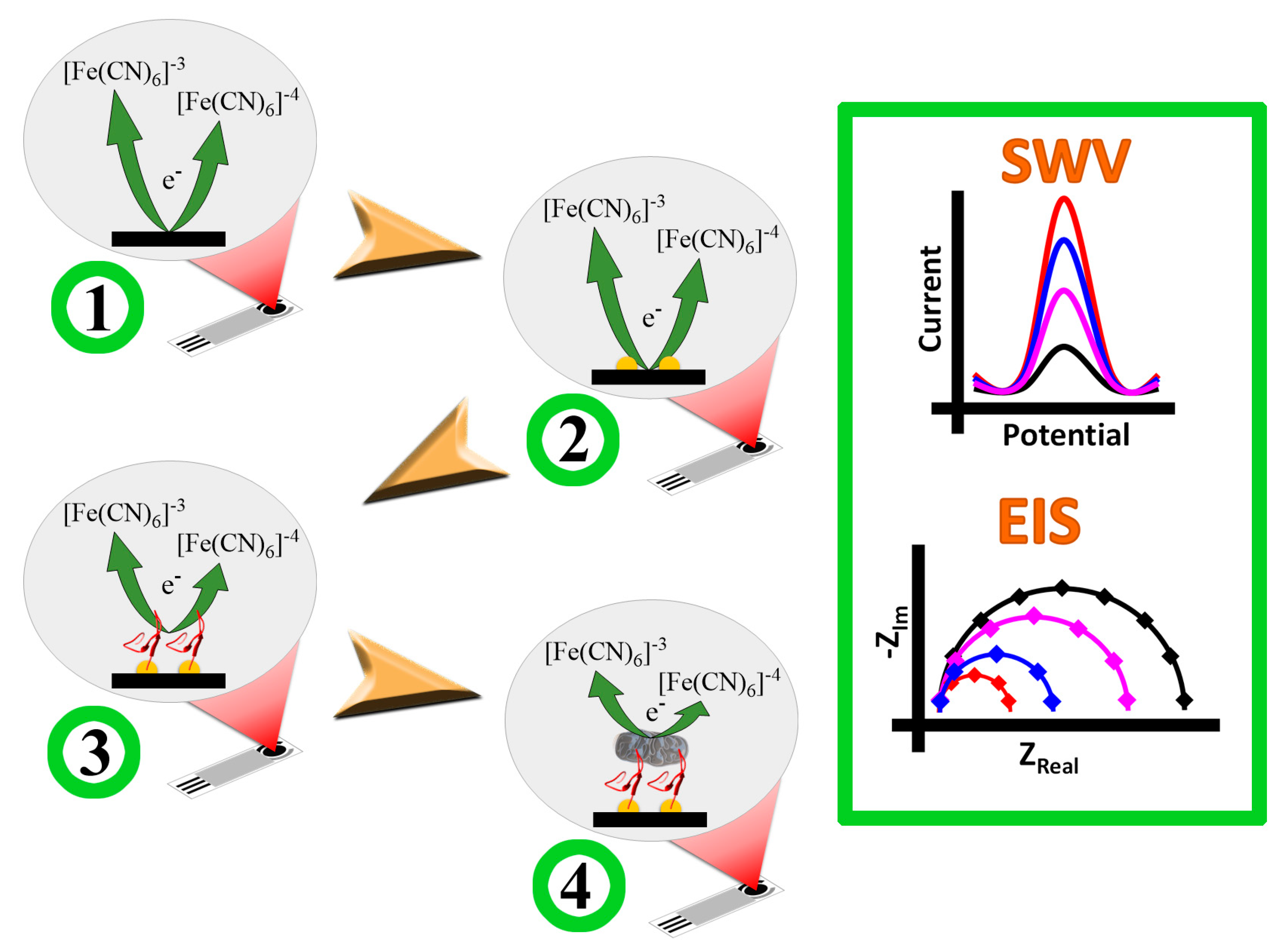 Molecules 26 02559 g011 Molecules 26 02559 g011