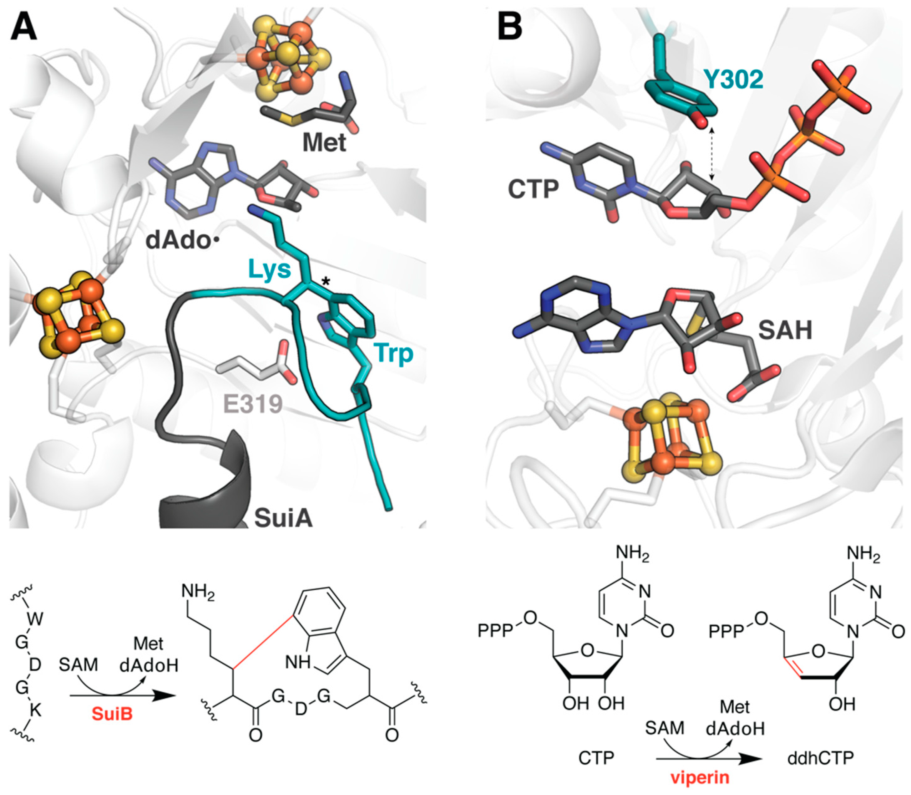 Molecules 26 02590 g003