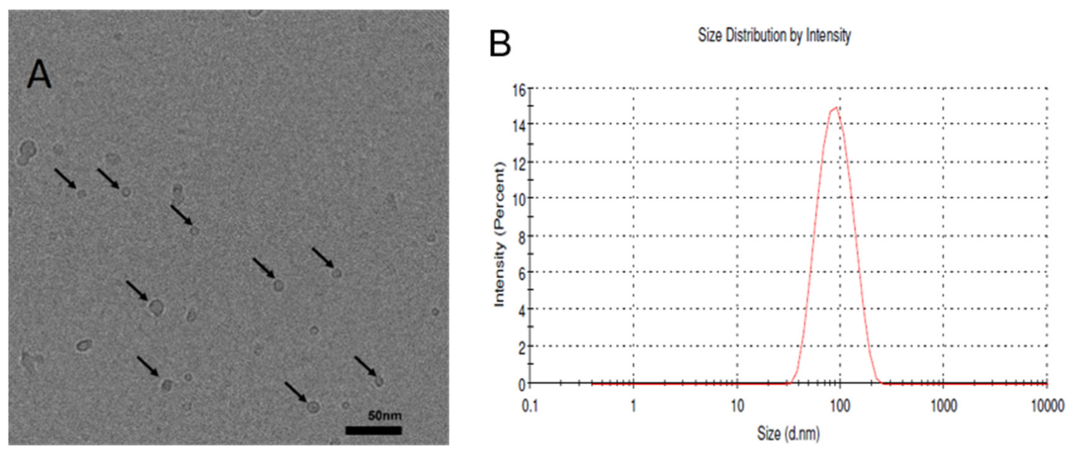 Molecules 26 02591 g004 Molecules 26 02591 g004