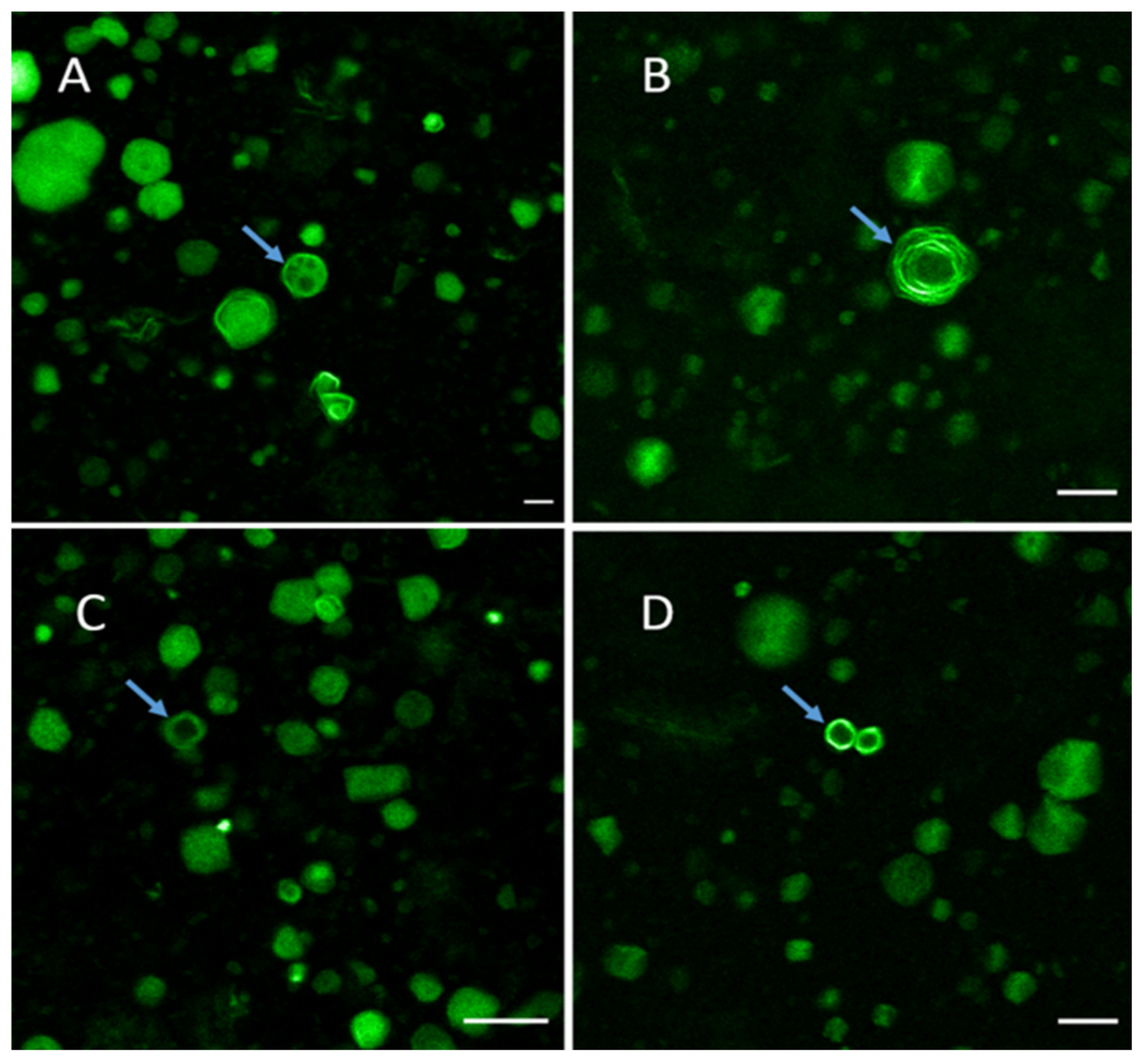 Molecules 26 02591 g005 Molecules 26 02591 g005