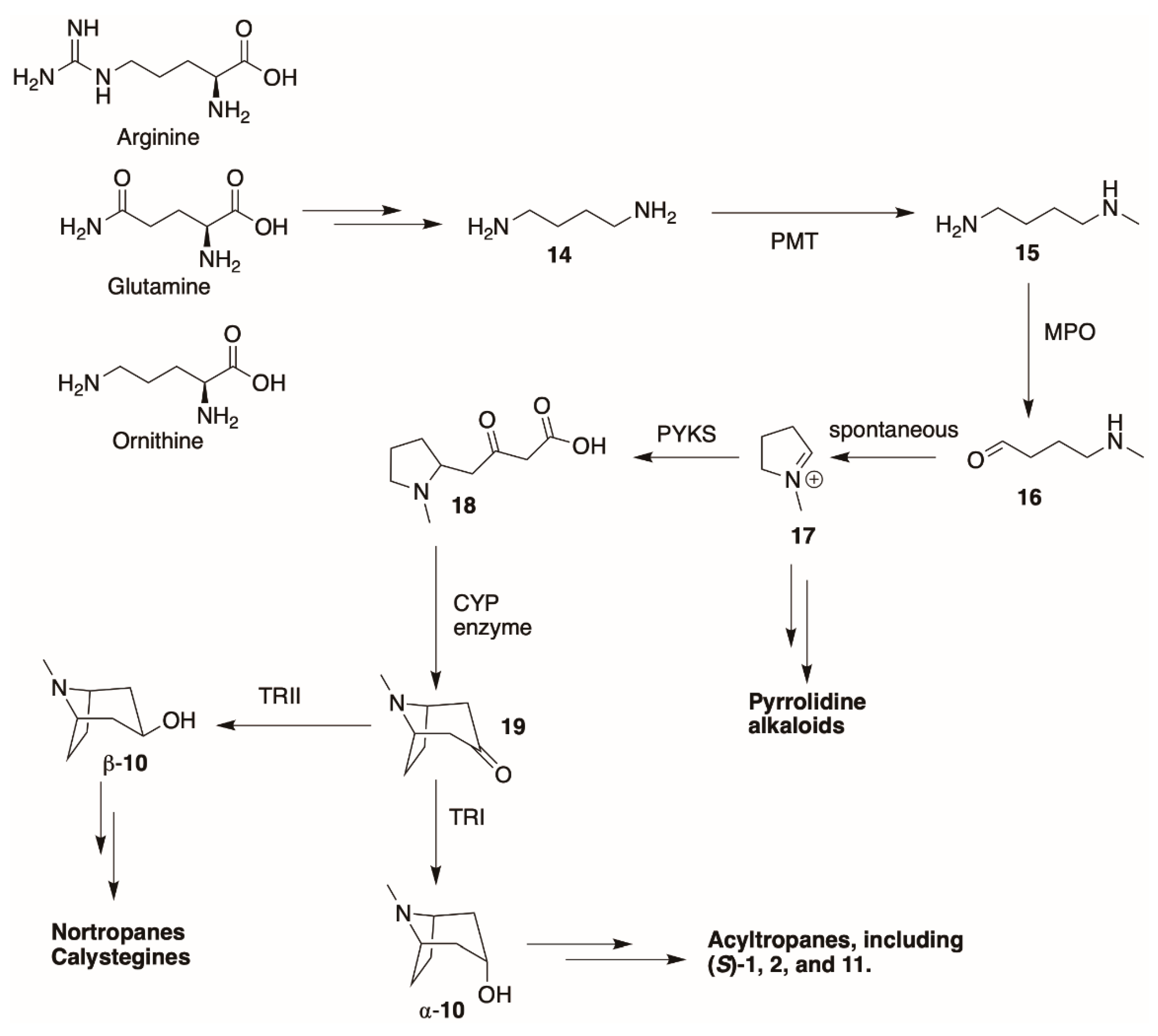 Molecules 26 02629 g006 Molecules 26 02629 g006