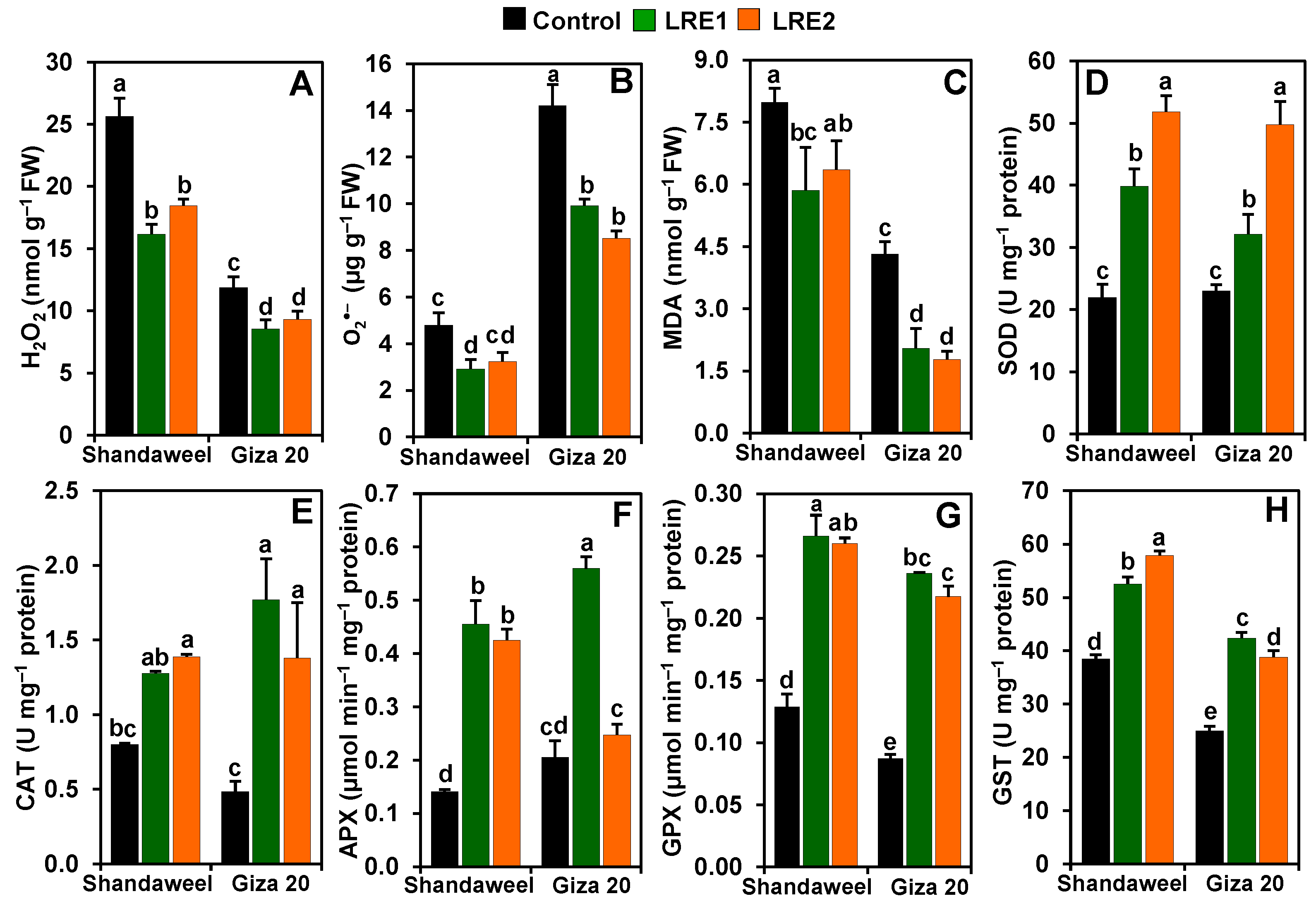 Molecules 26 02633 g002 Molecules 26 02633 g002