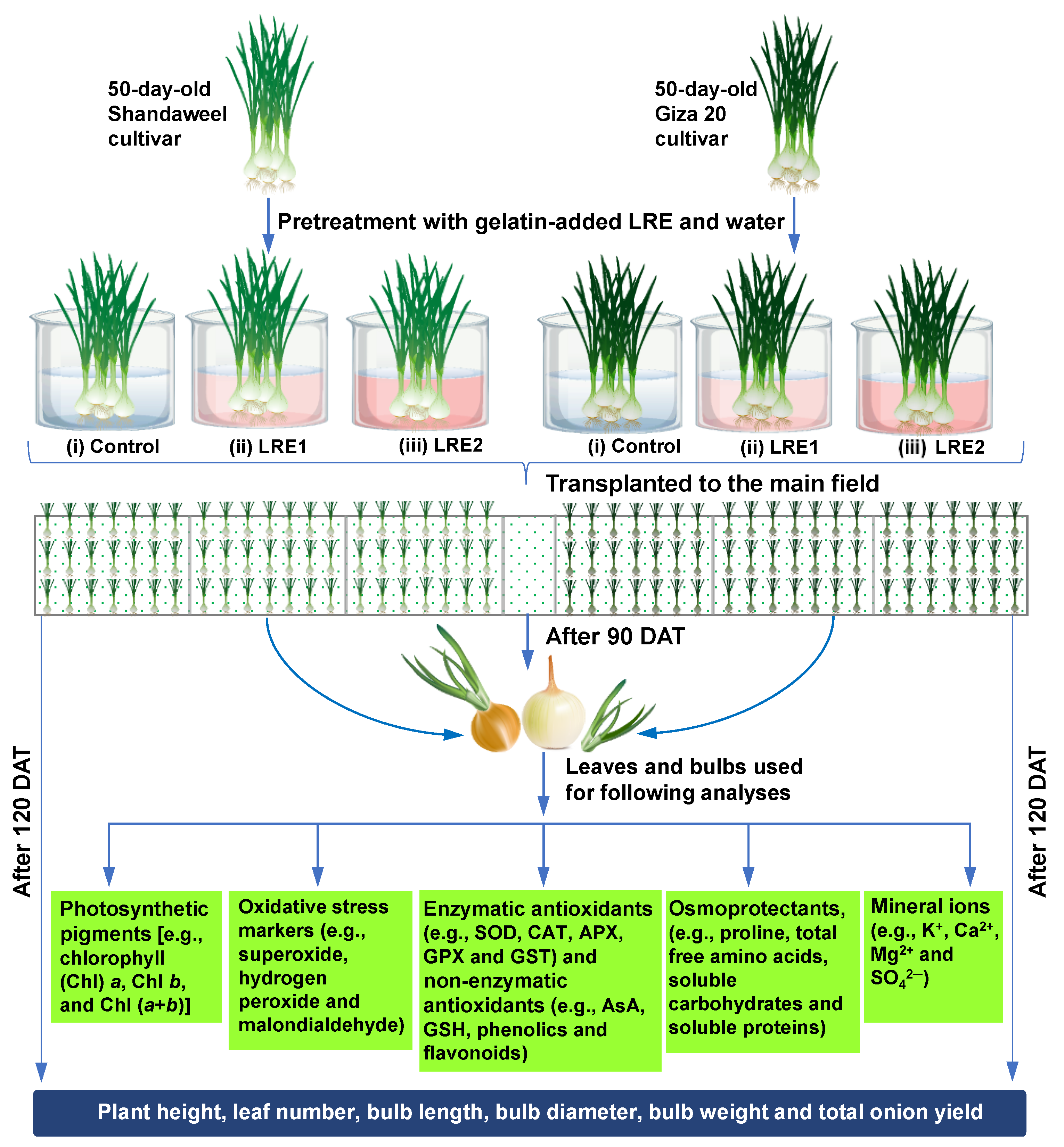 Molecules 26 02633 g007 Molecules 26 02633 g007