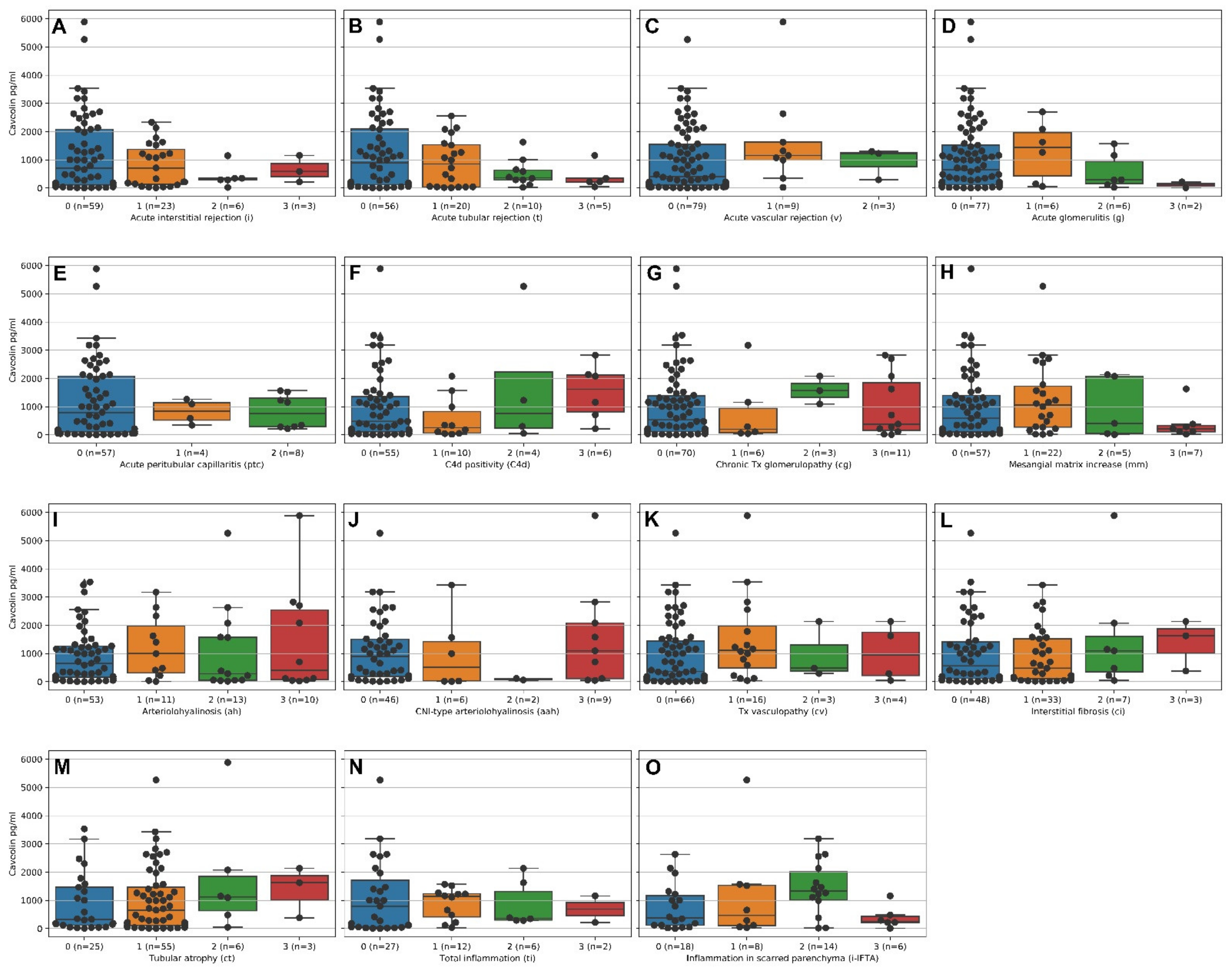 Molecules 26 02648 g001