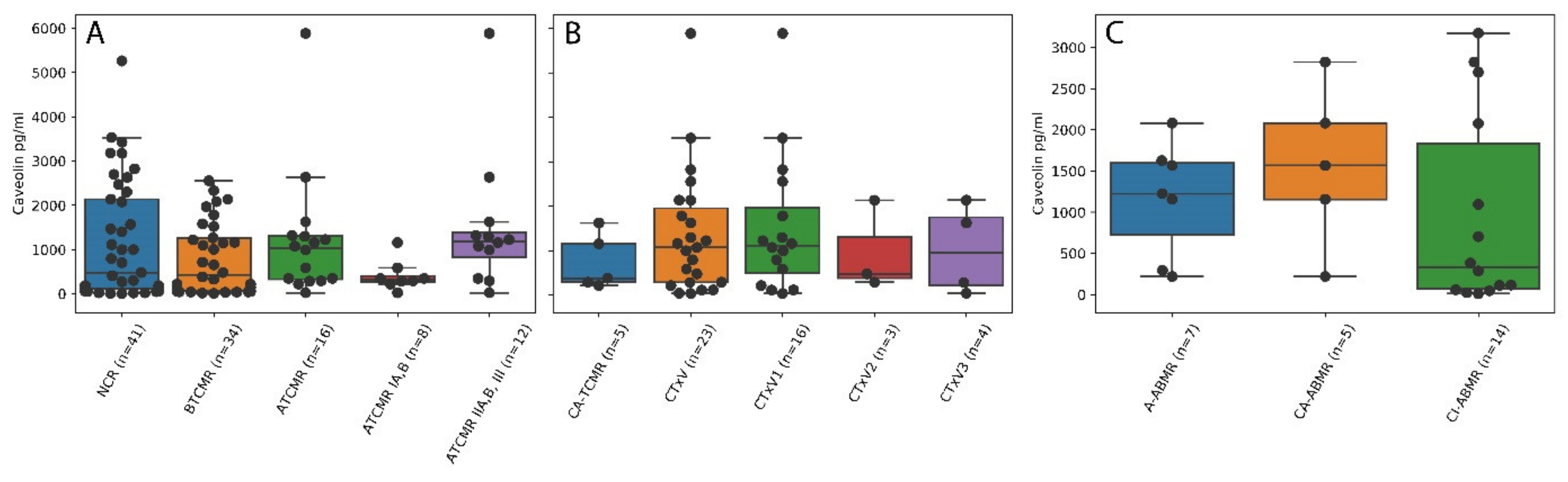 Molecules 26 02648 g002
