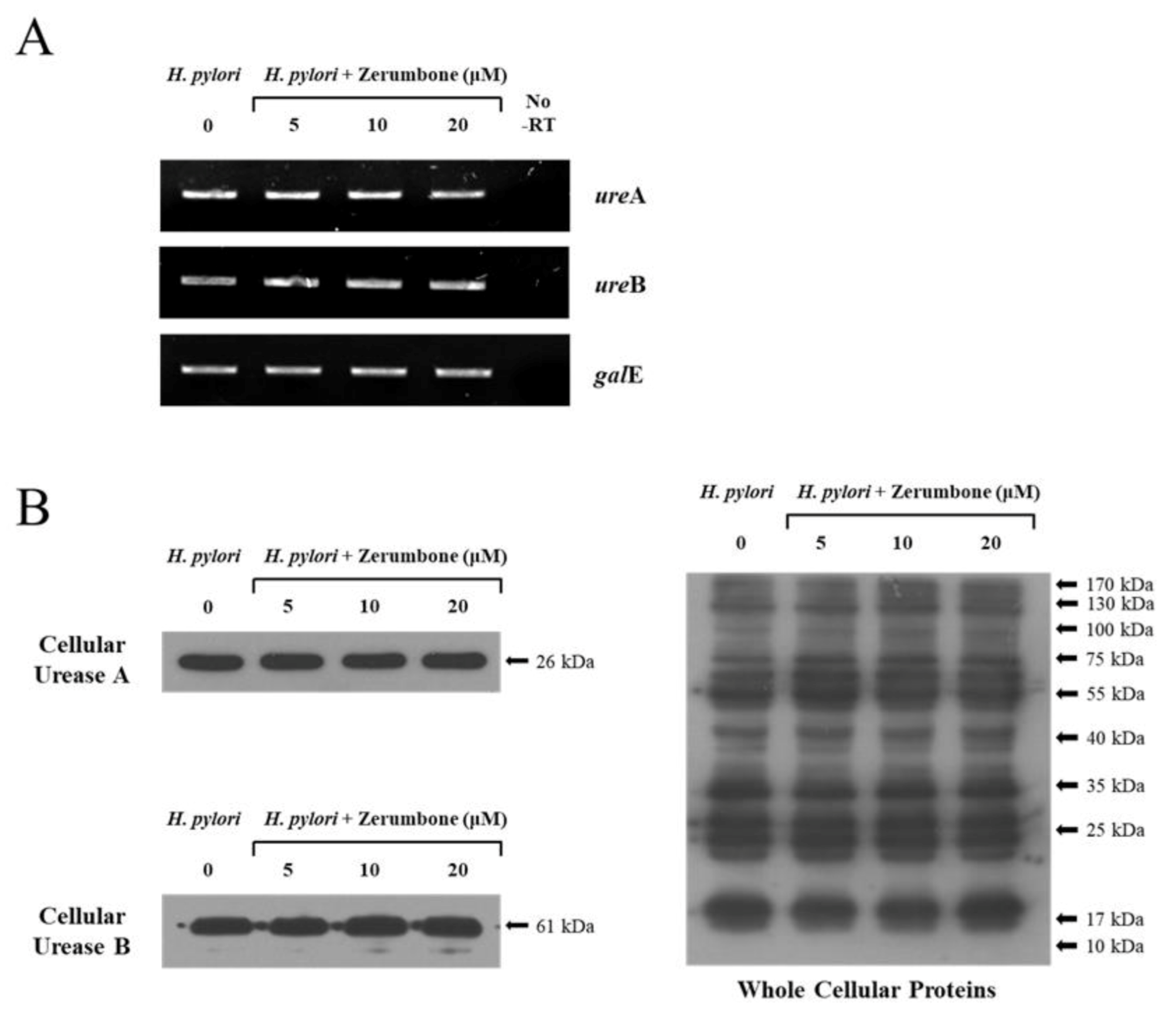 Molecules 26 02663 g002 Molecules 26 02663 g002