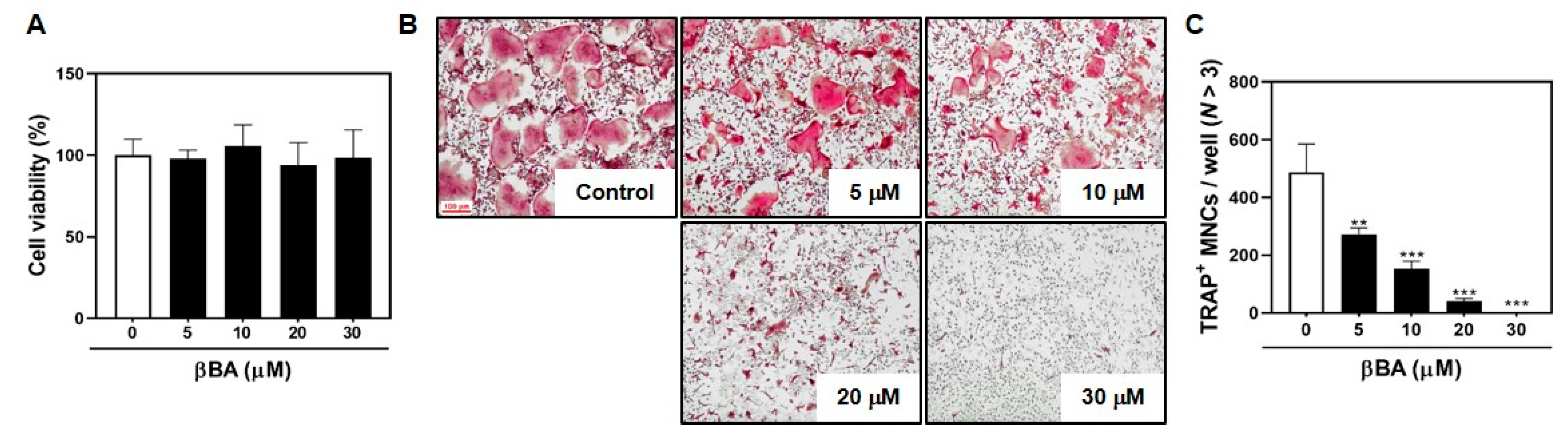 Molecules 26 02665 g001 Molecules 26 02665 g001