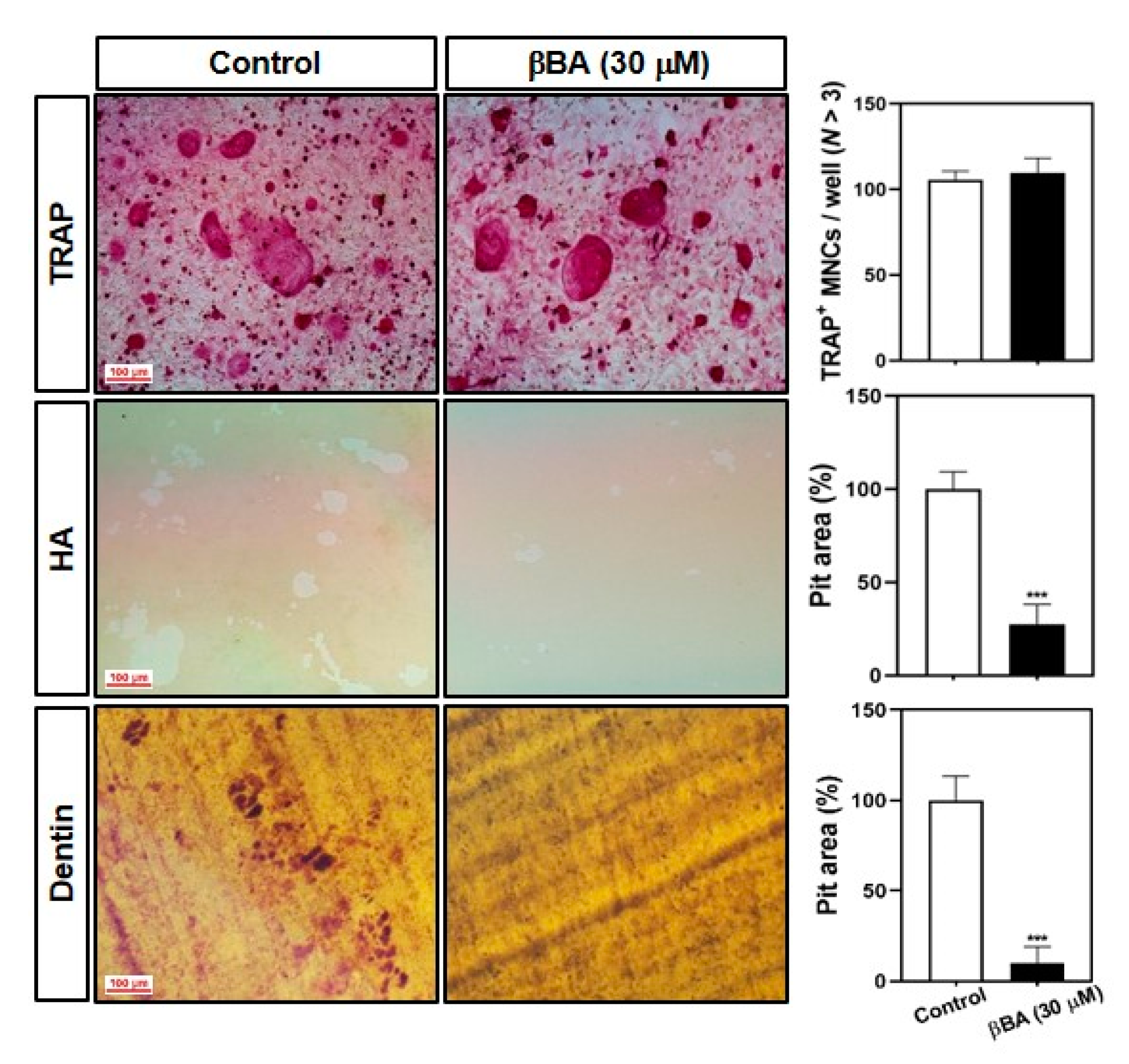 Molecules 26 02665 g002 Molecules 26 02665 g002