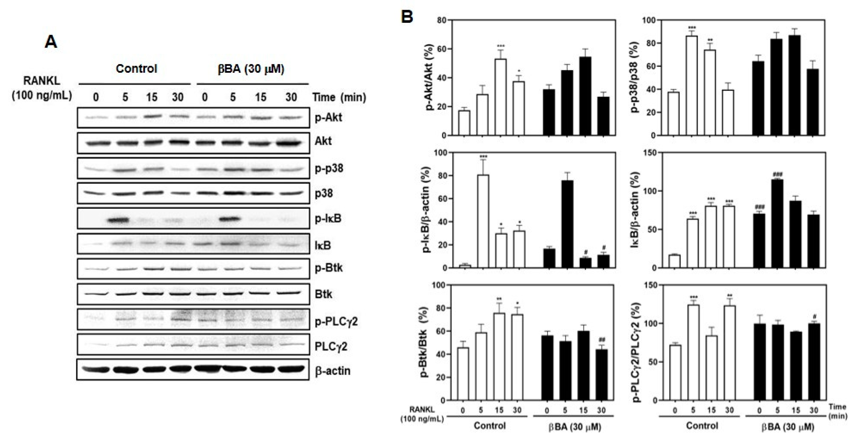 Molecules 26 02665 g003 Molecules 26 02665 g003