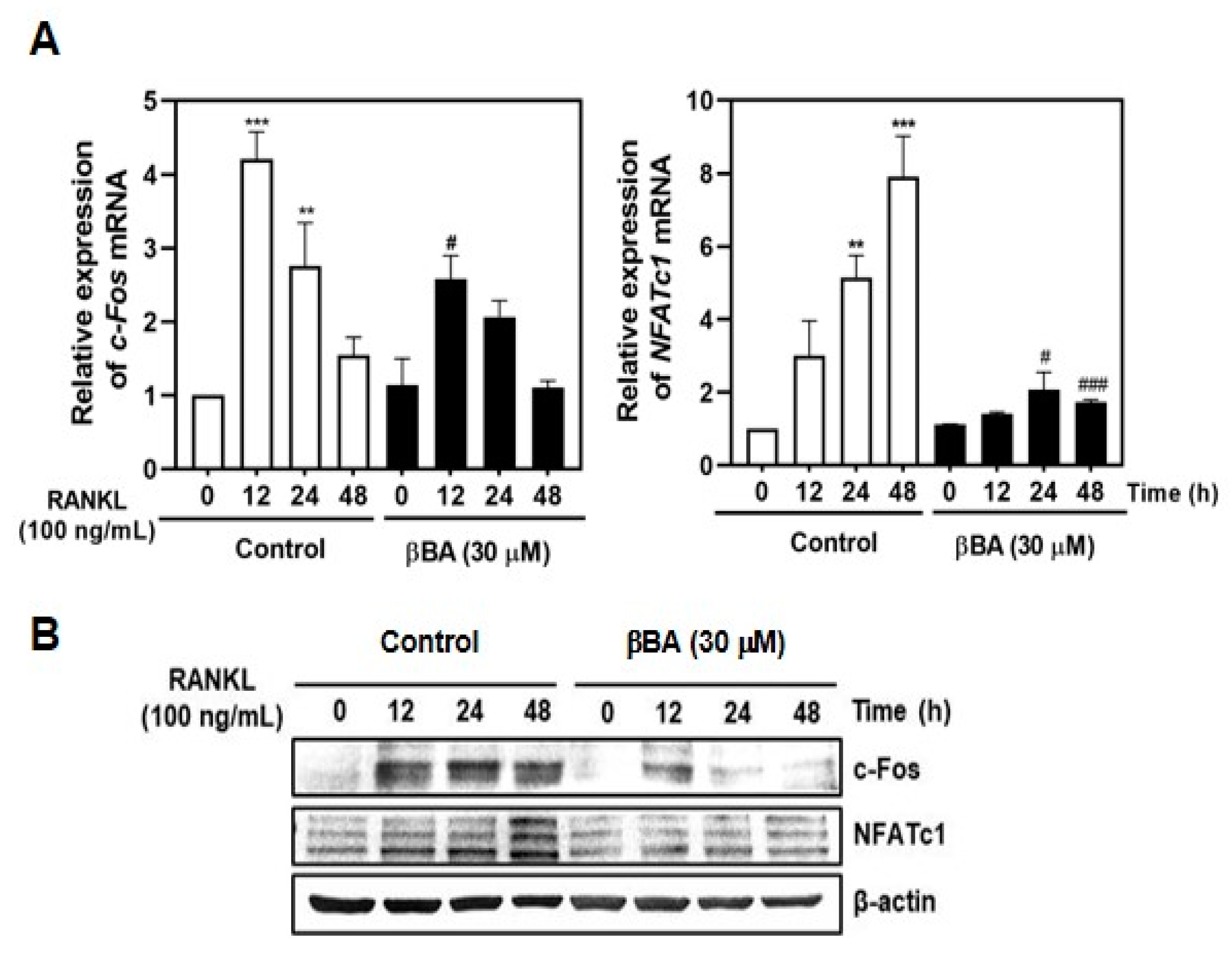 Molecules 26 02665 g004 Molecules 26 02665 g004