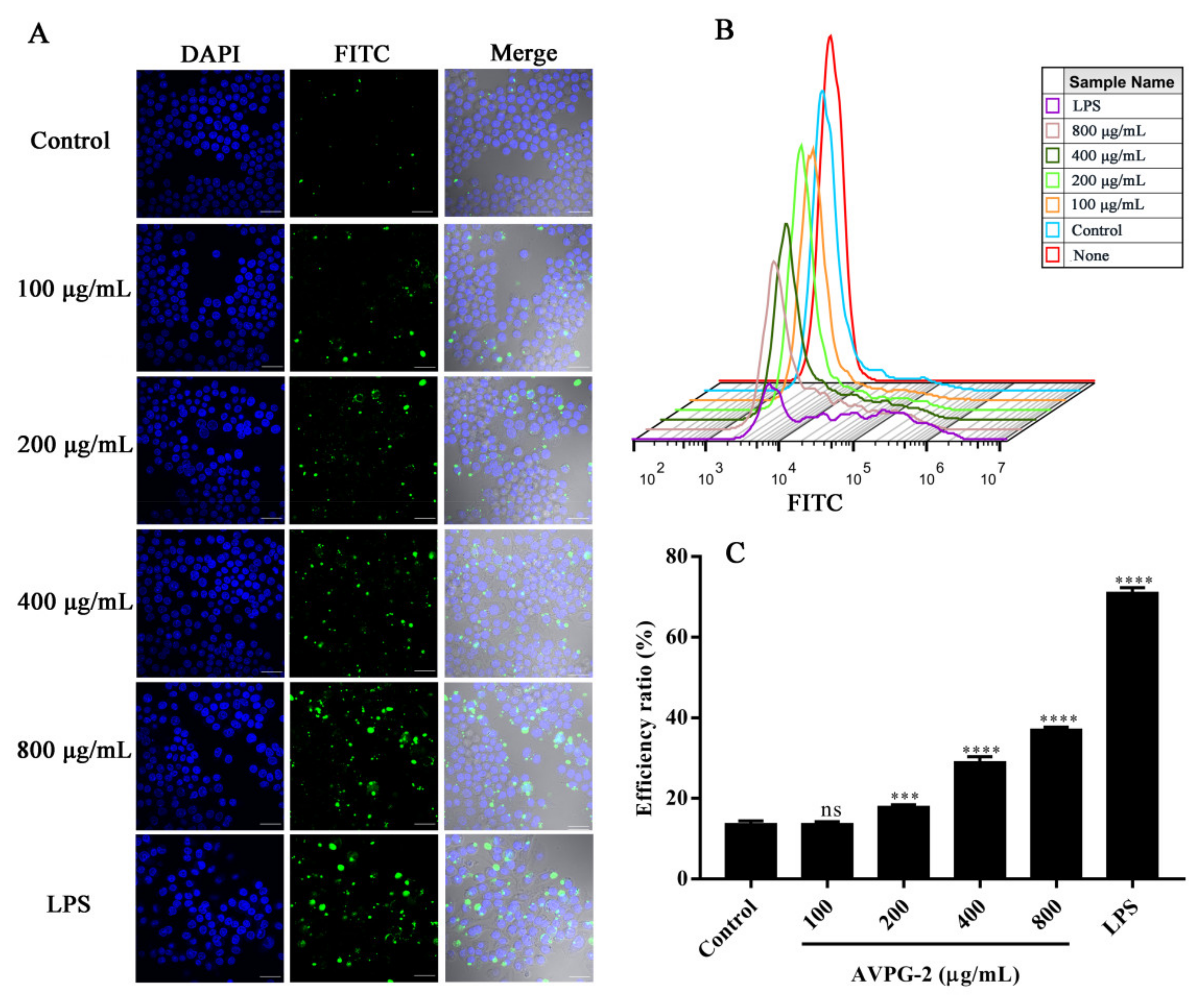 Molecules 26 02672 g008