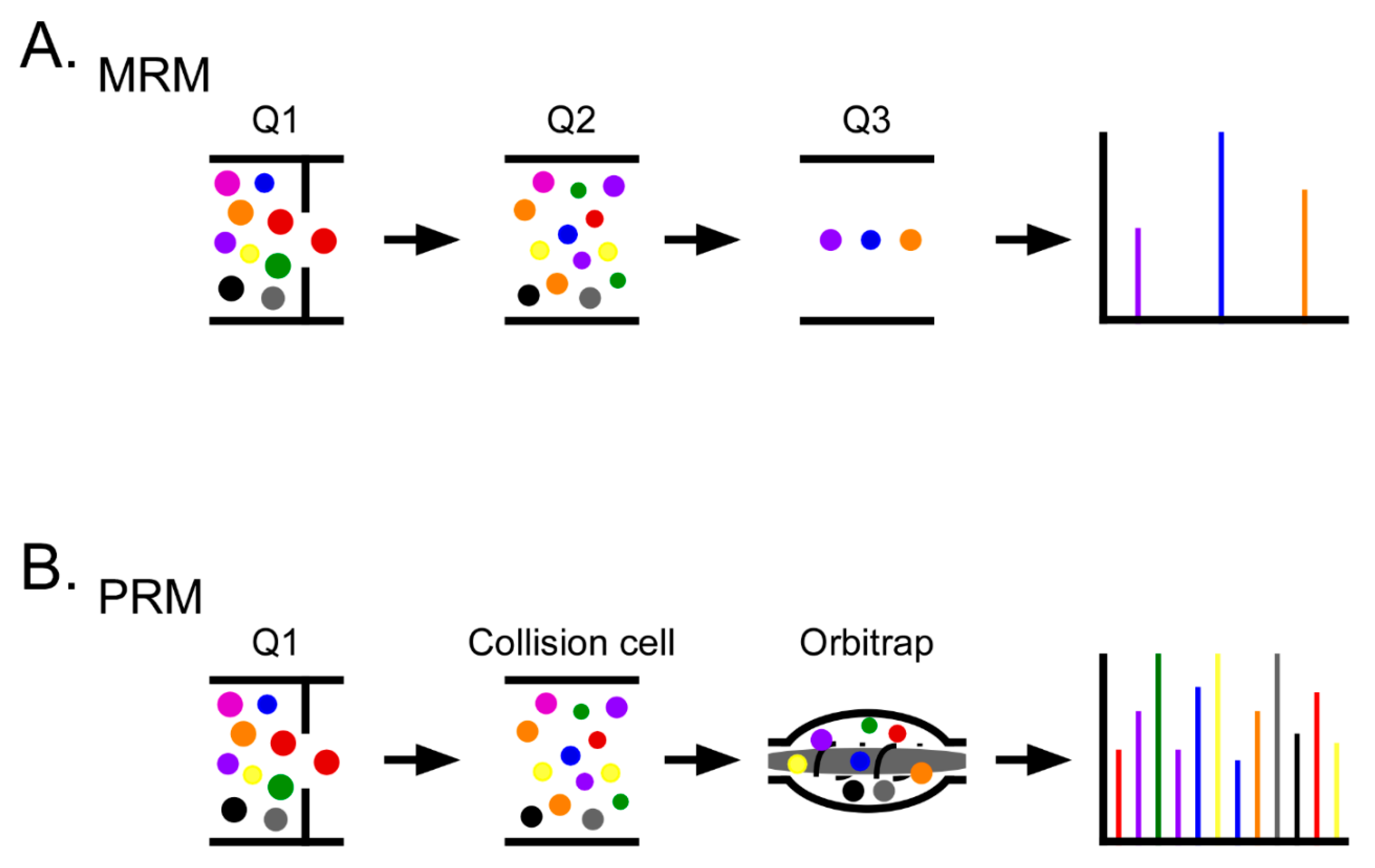 Molecules 26 02674 g002 Molecules 26 02674 g002