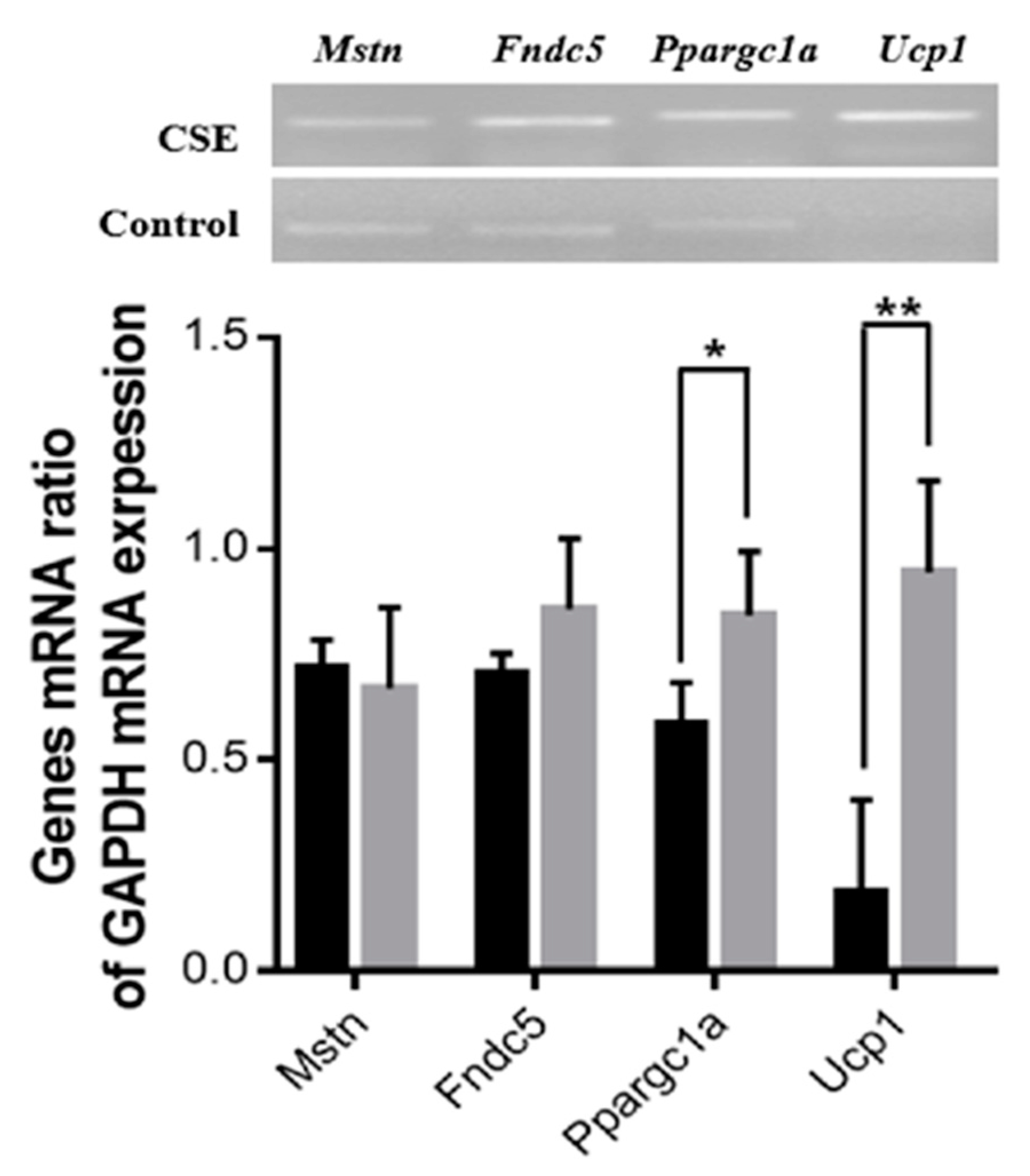 Molecules 26 02676 g005