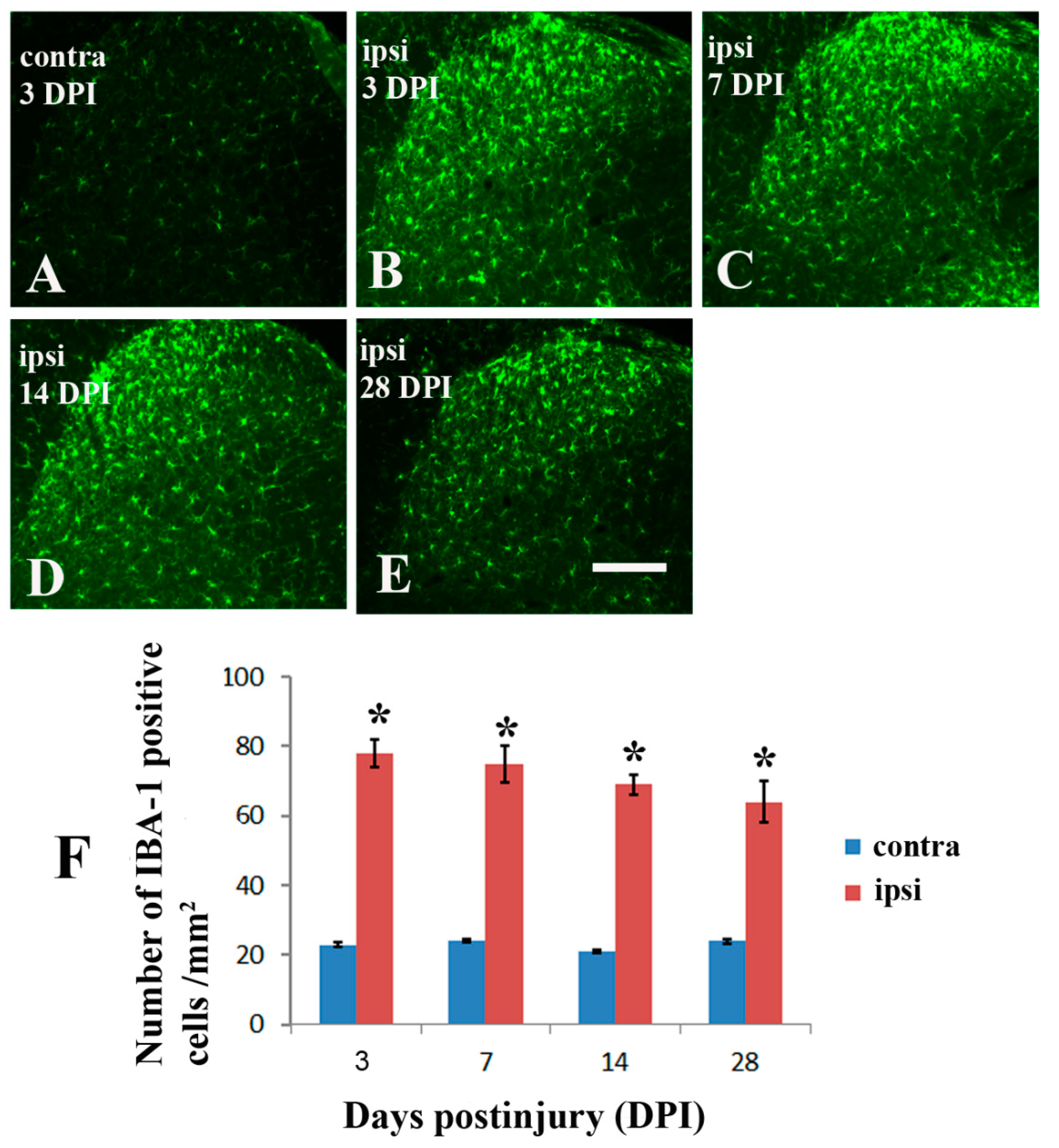 Molecules 26 02685 g003 Molecules 26 02685 g003