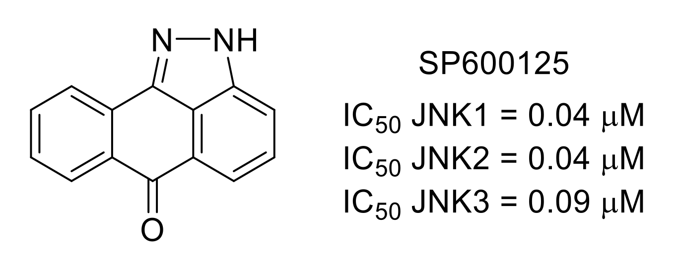 Molecules 26 02696 g014 Molecules 26 02696 g014