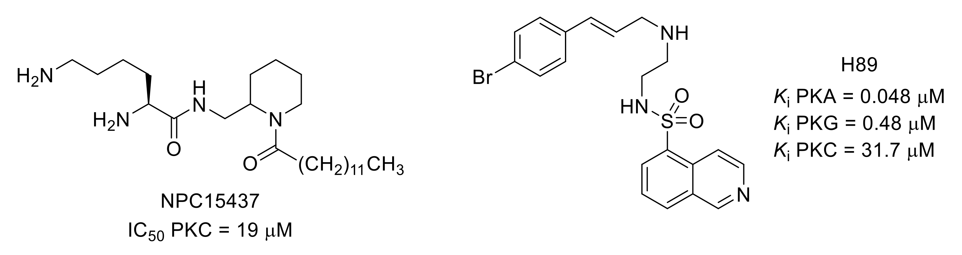 Molecules 26 02696 g020 Molecules 26 02696 g020
