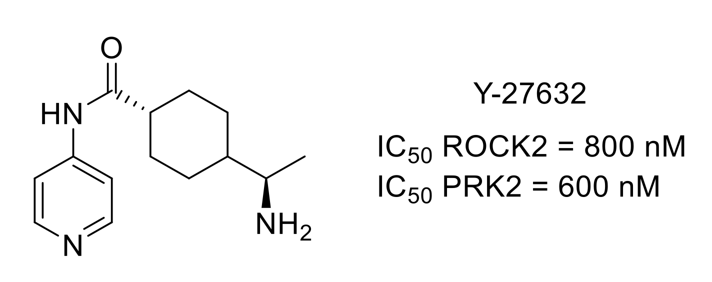 Molecules 26 02696 g025 Molecules 26 02696 g025