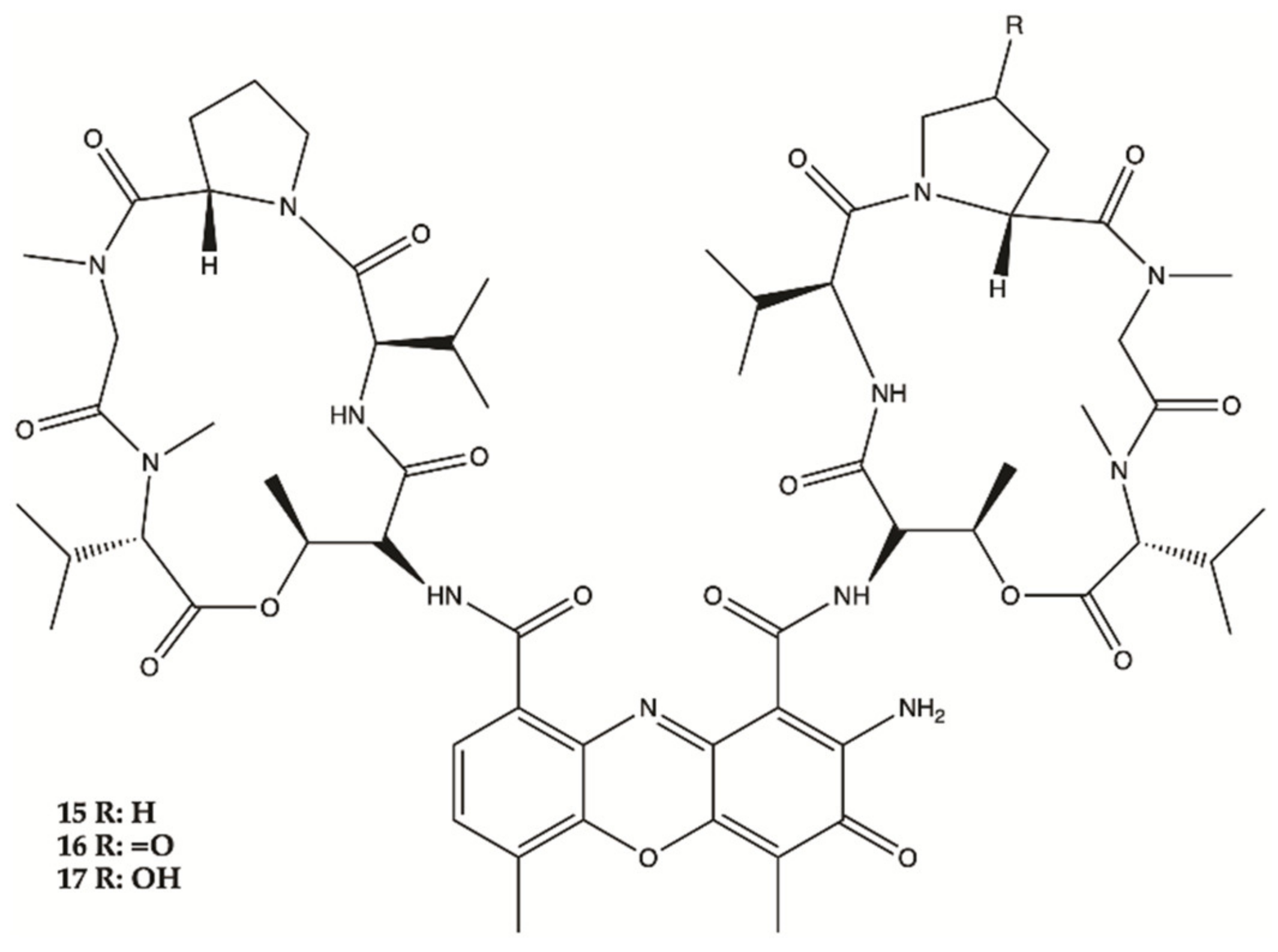 Molecules 26 02707 g007