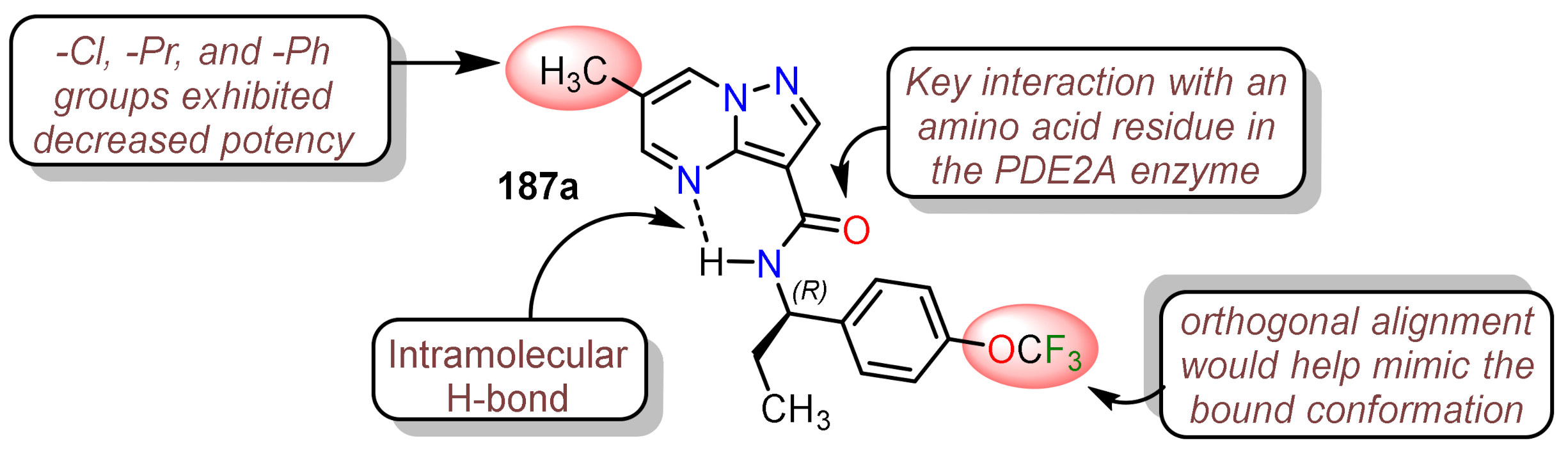 Molecules 26 02708 g004 Molecules 26 02708 g004