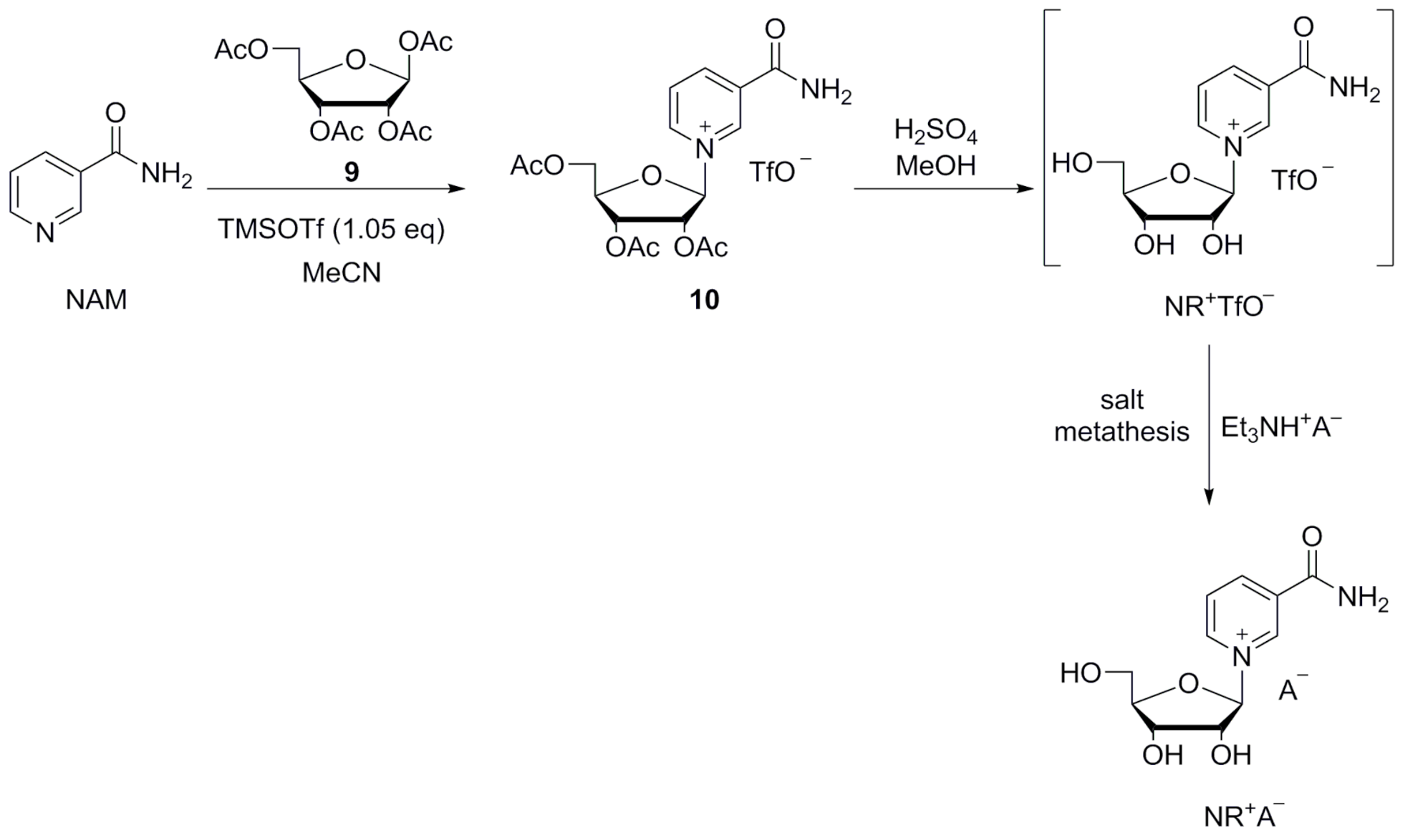 Molecules 26 02729 sch004 Molecules 26 02729 sch004
