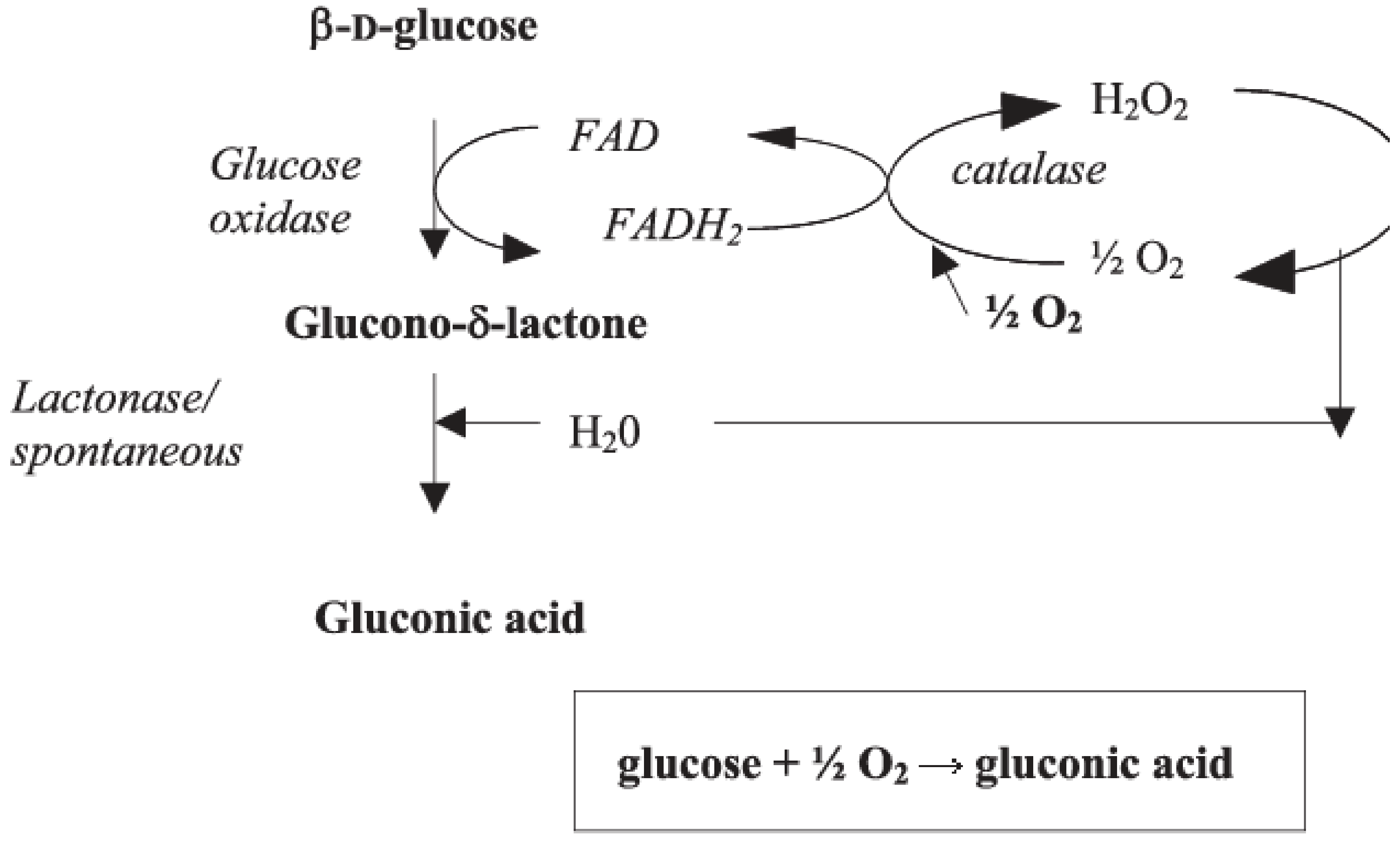Molecules 26 02730 g001 Molecules 26 02730 g001