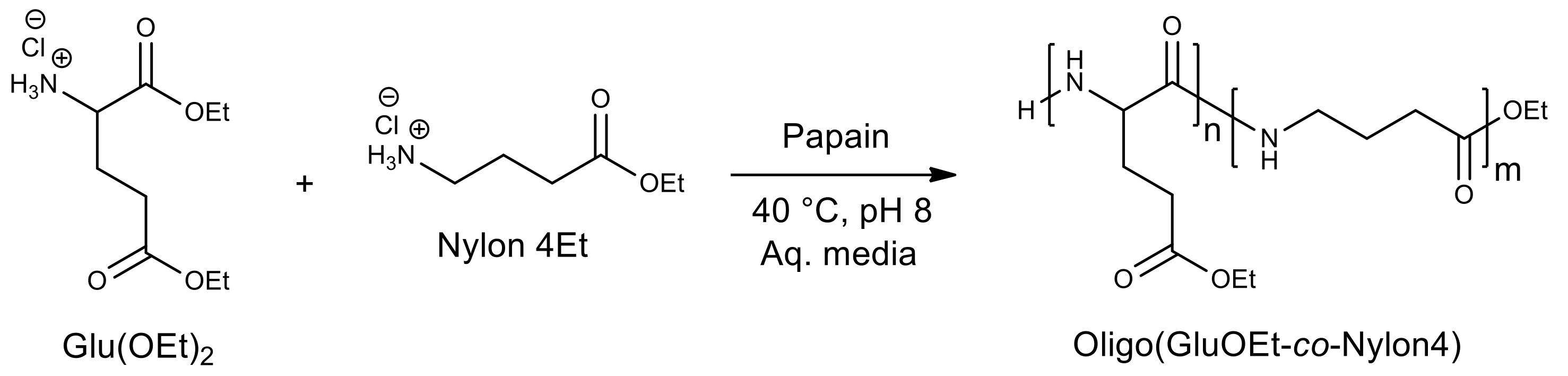 Molecules 26 02750 g012 Molecules 26 02750 g012
