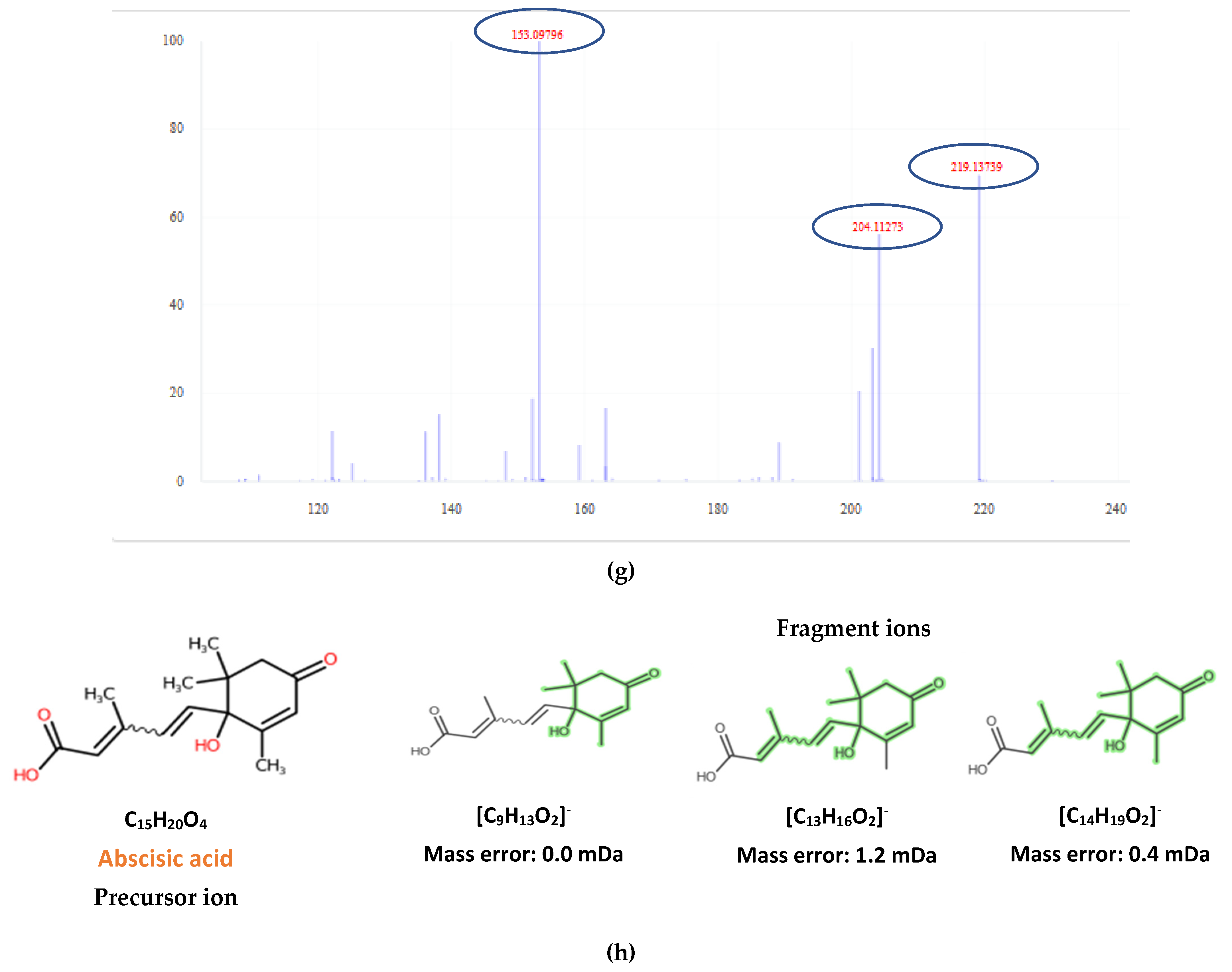 Molecules 26 02769 g001b Molecules 26 02769 g001b