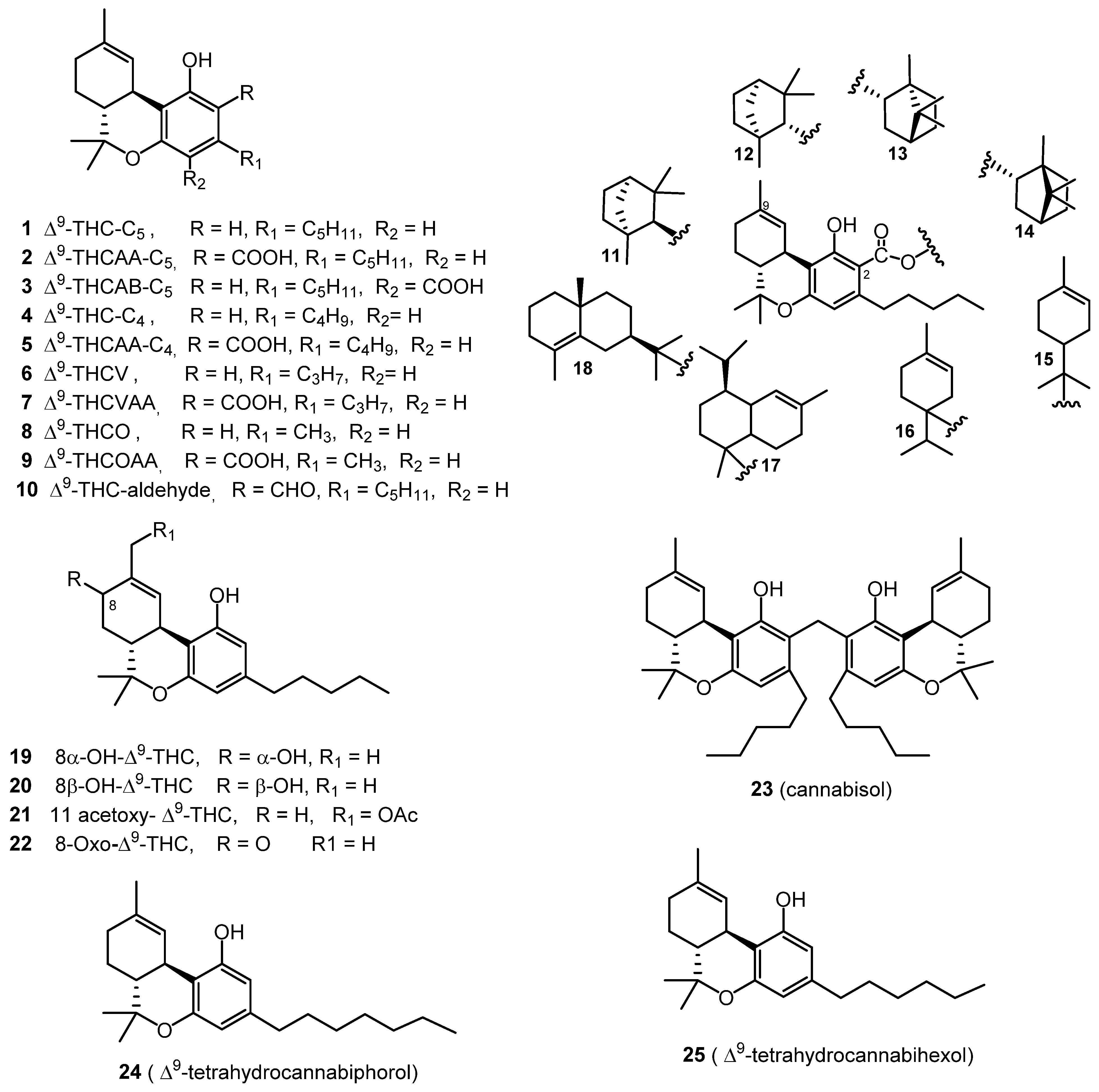 Molecules 26 02774 g001 Molecules 26 02774 g001