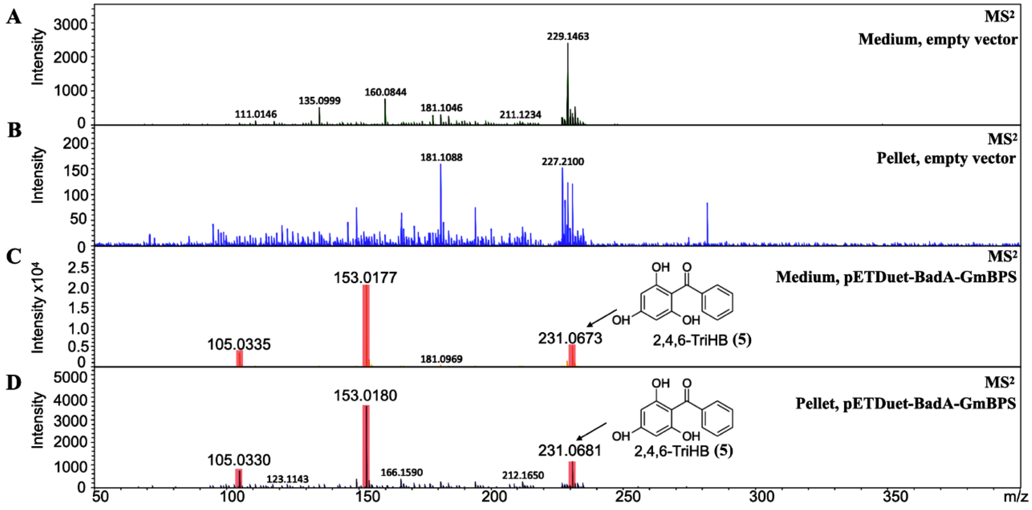 Molecules 26 02779 g004 Molecules 26 02779 g004