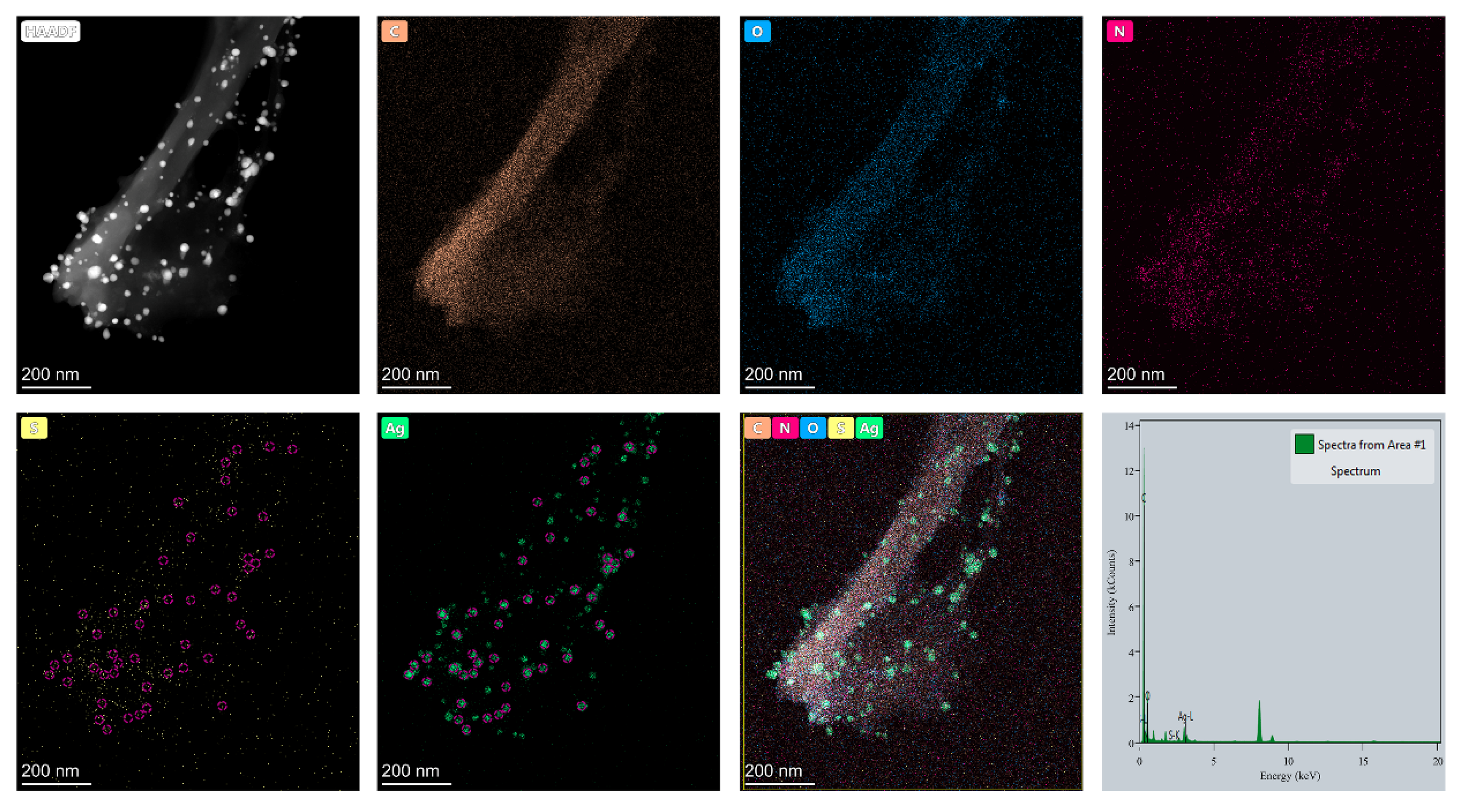 Molecules 26 02783 g003 Molecules 26 02783 g003