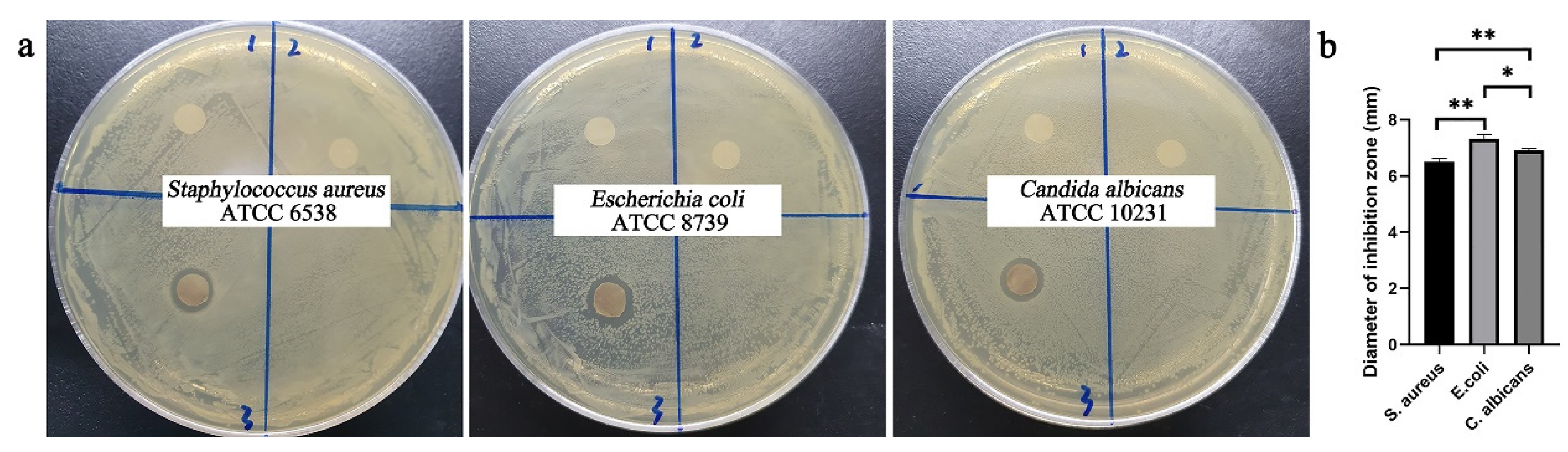 Molecules 26 02783 g008 Molecules 26 02783 g008