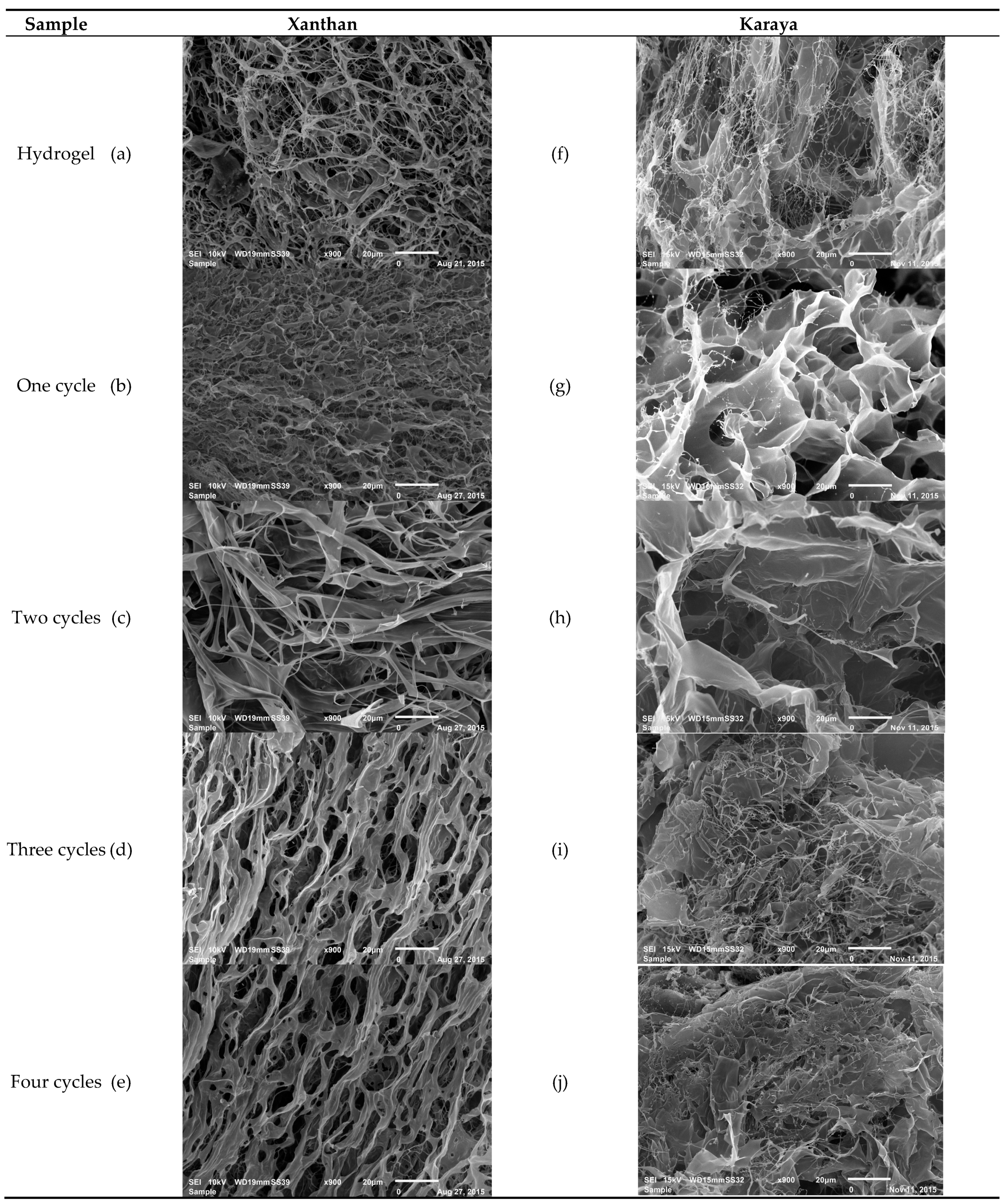 Molecules 26 02788 g002