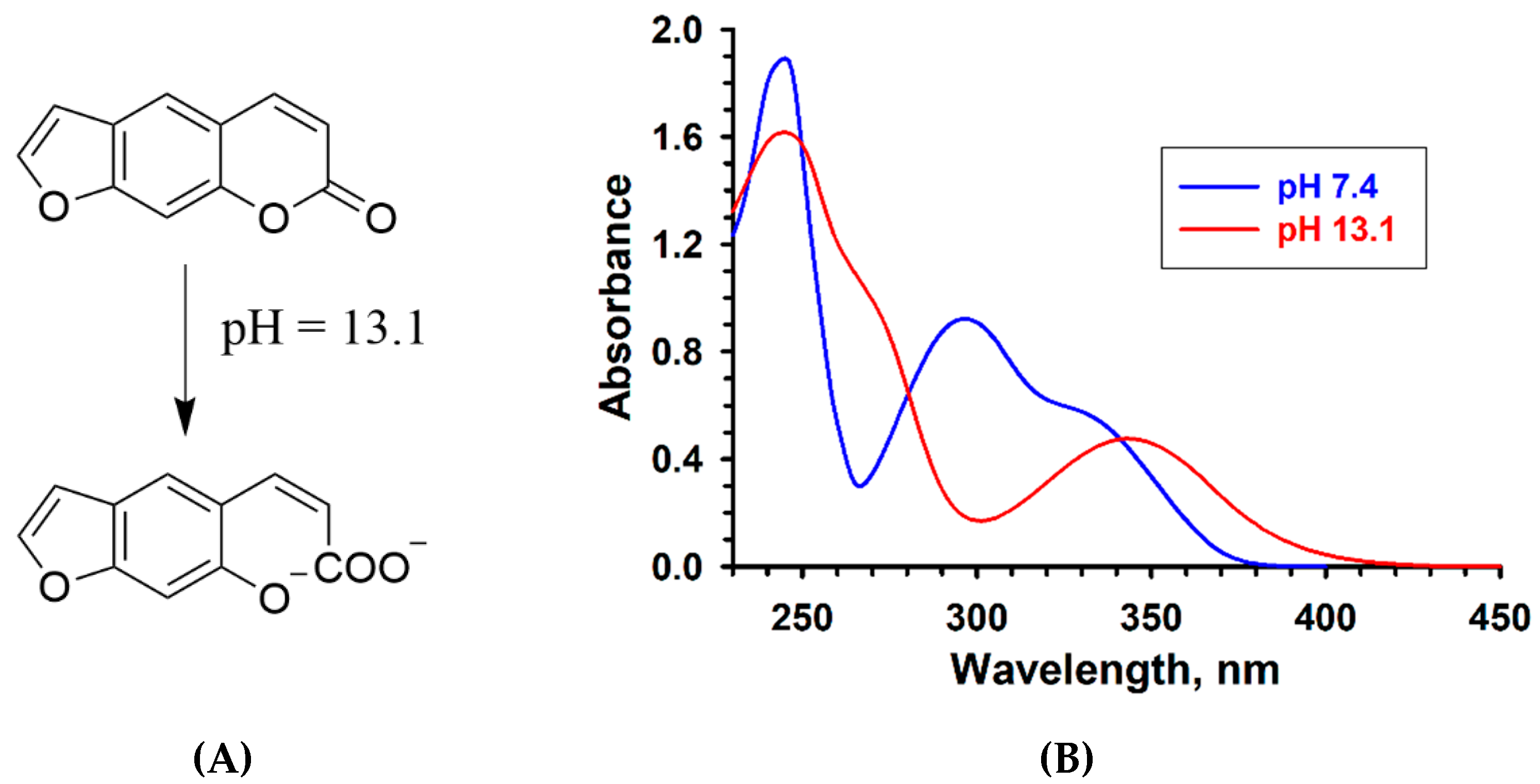Molecules 26 02800 g001 Molecules 26 02800 g001