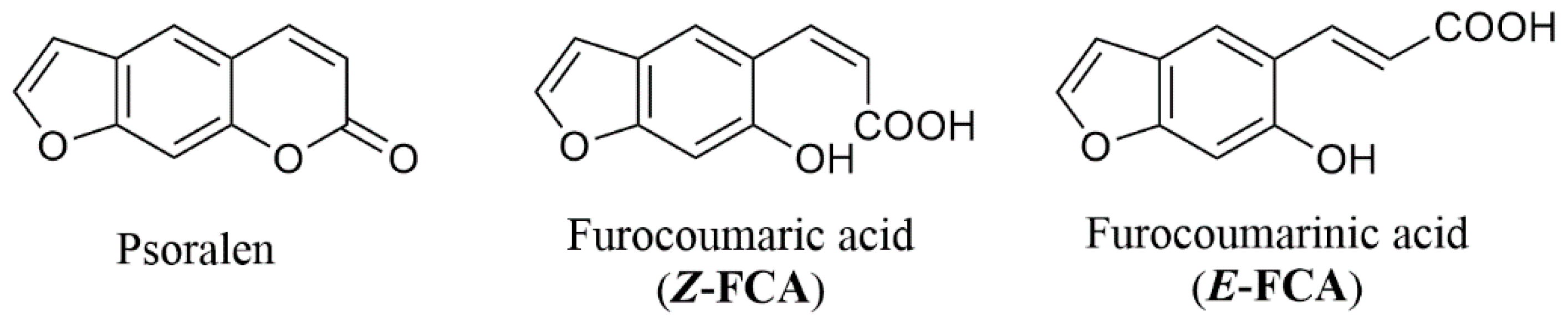 Molecules 26 02800 sch001 Molecules 26 02800 sch001