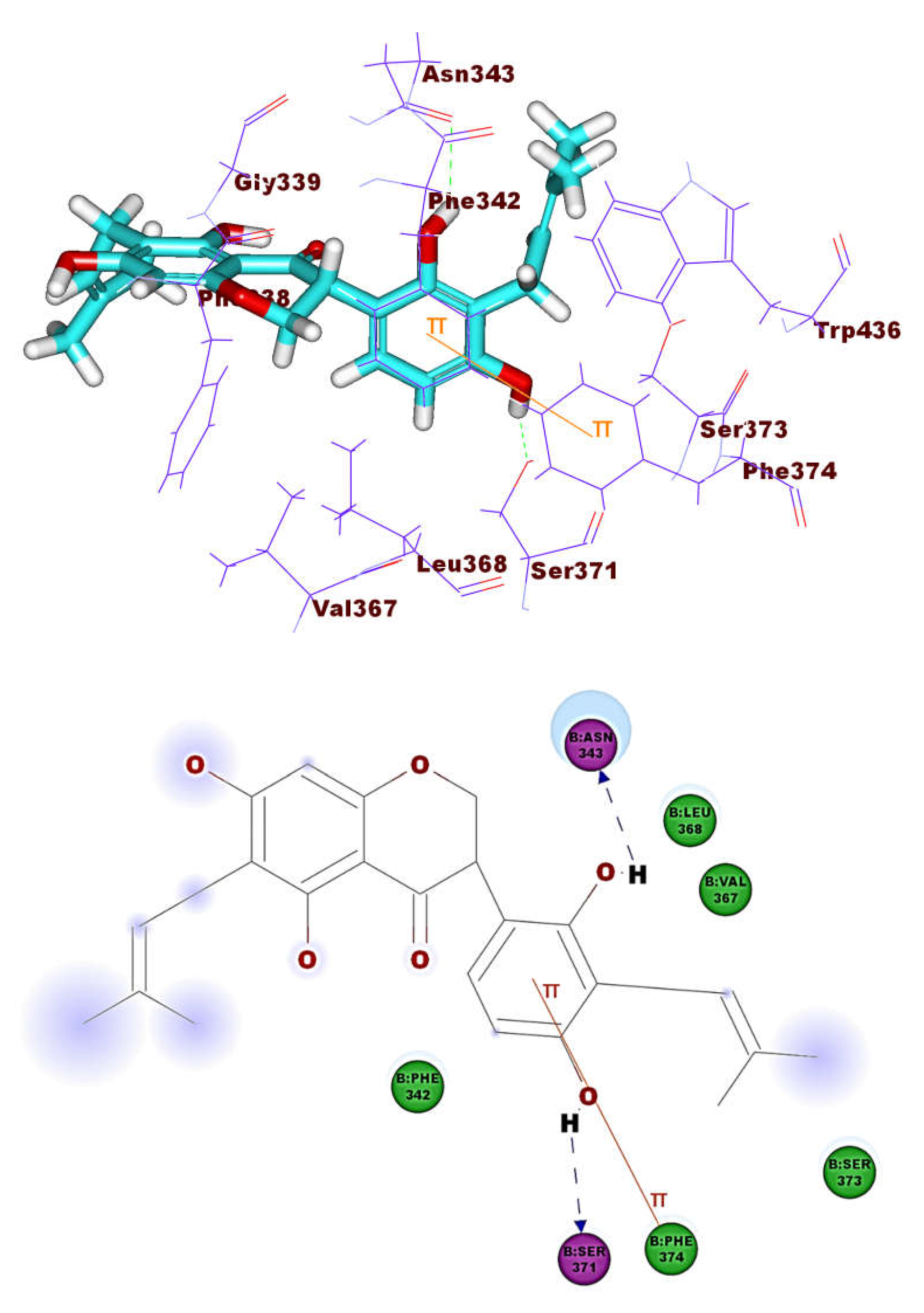 Molecules 26 02806 g008 Molecules 26 02806 g008