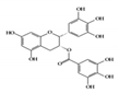 Molecules 26 02824 i002 Molecules 26 02824 i002