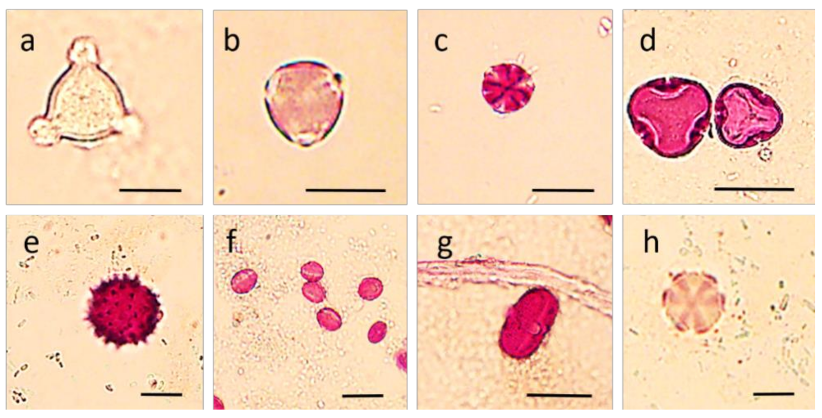 Molecules 26 02825 g001 Molecules 26 02825 g001