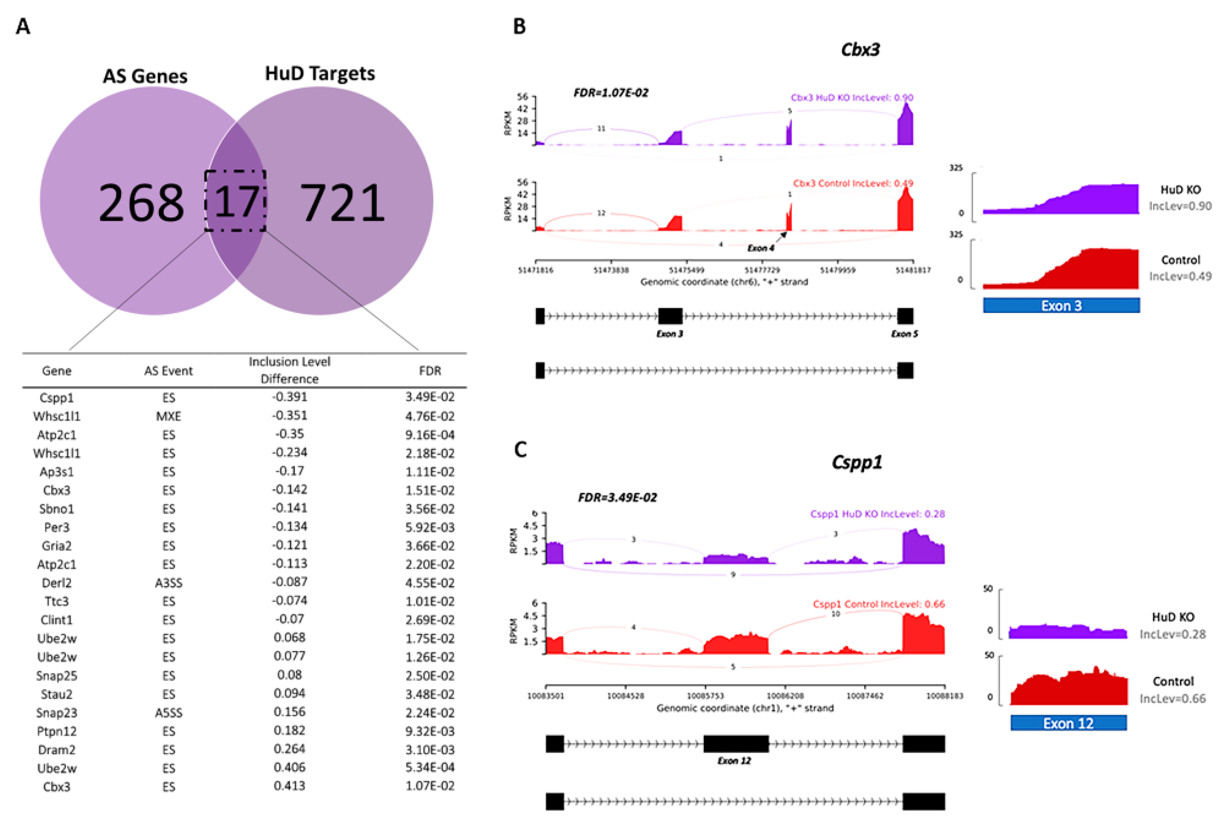 Molecules Free Full Text The Rna Binding Protein Hud Regulates Alternative Splicing And Alternative Polyadenylation In The Mouse Neocortex Html