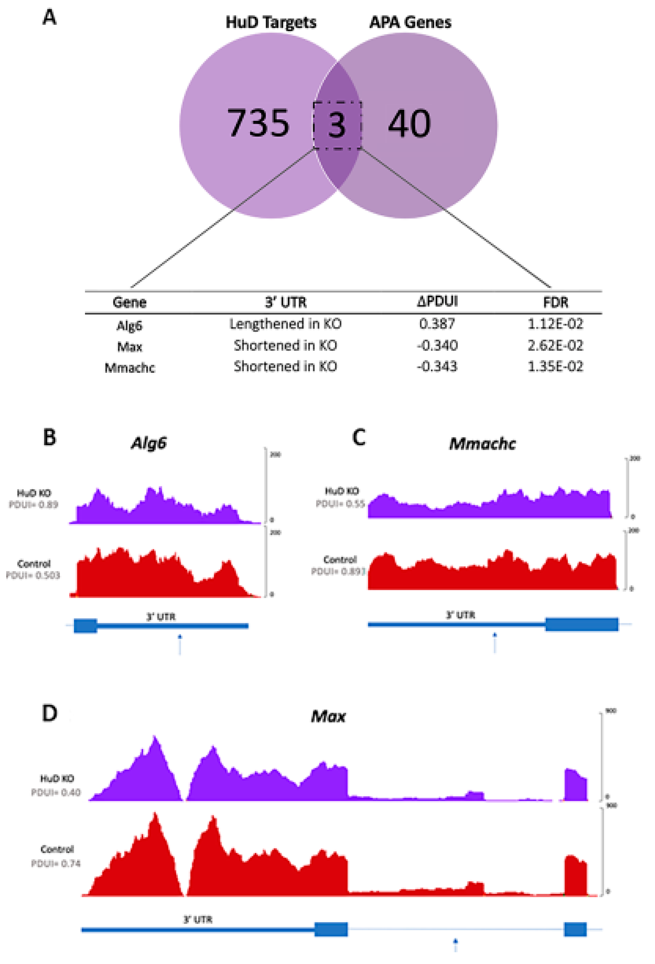 Molecules 26 02836 g007