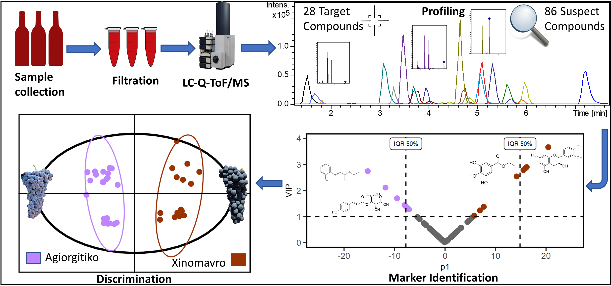 Molecules | Free Full-Text | Development of a Wine Metabolomics ...