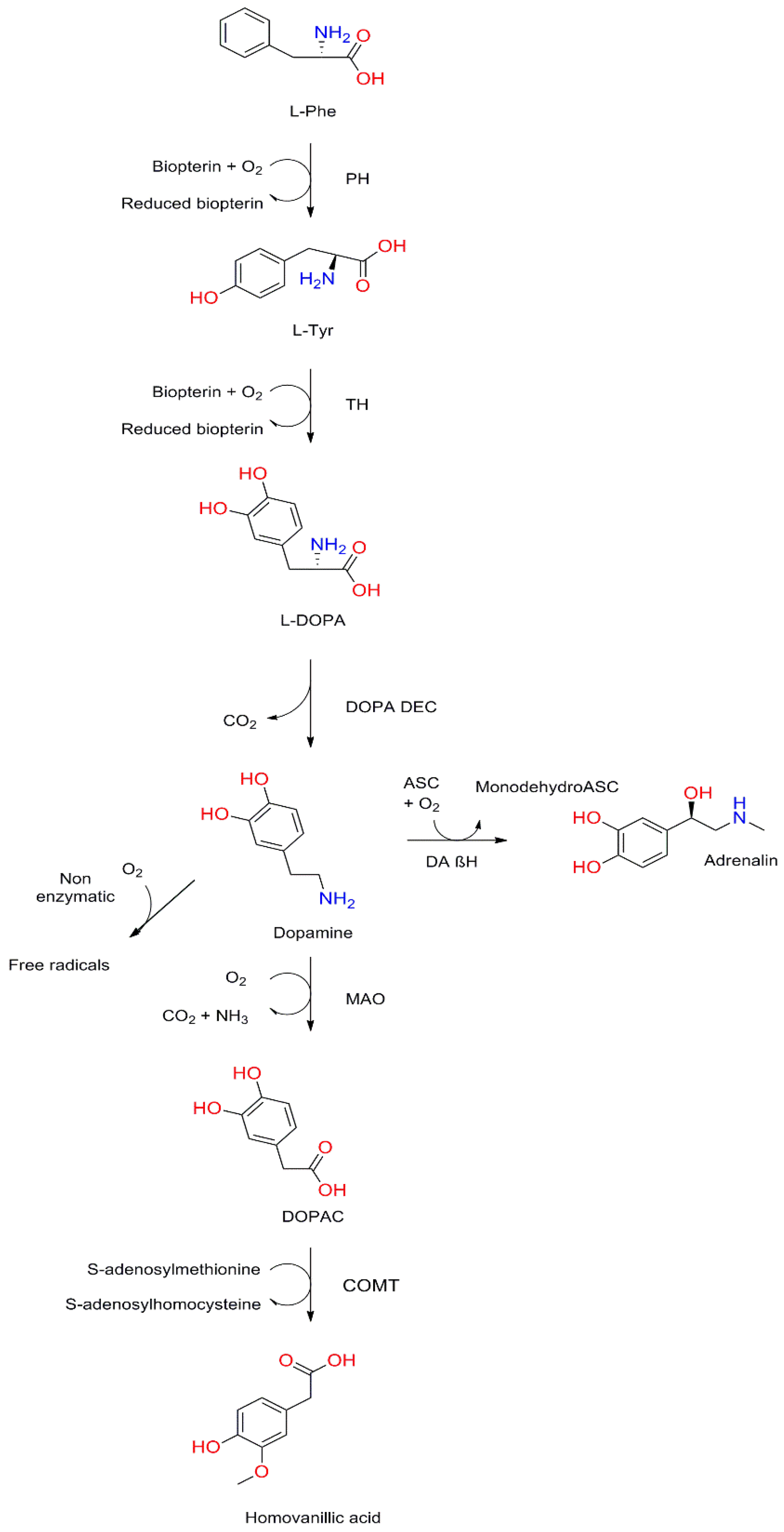 Molecules 26 02838 g001