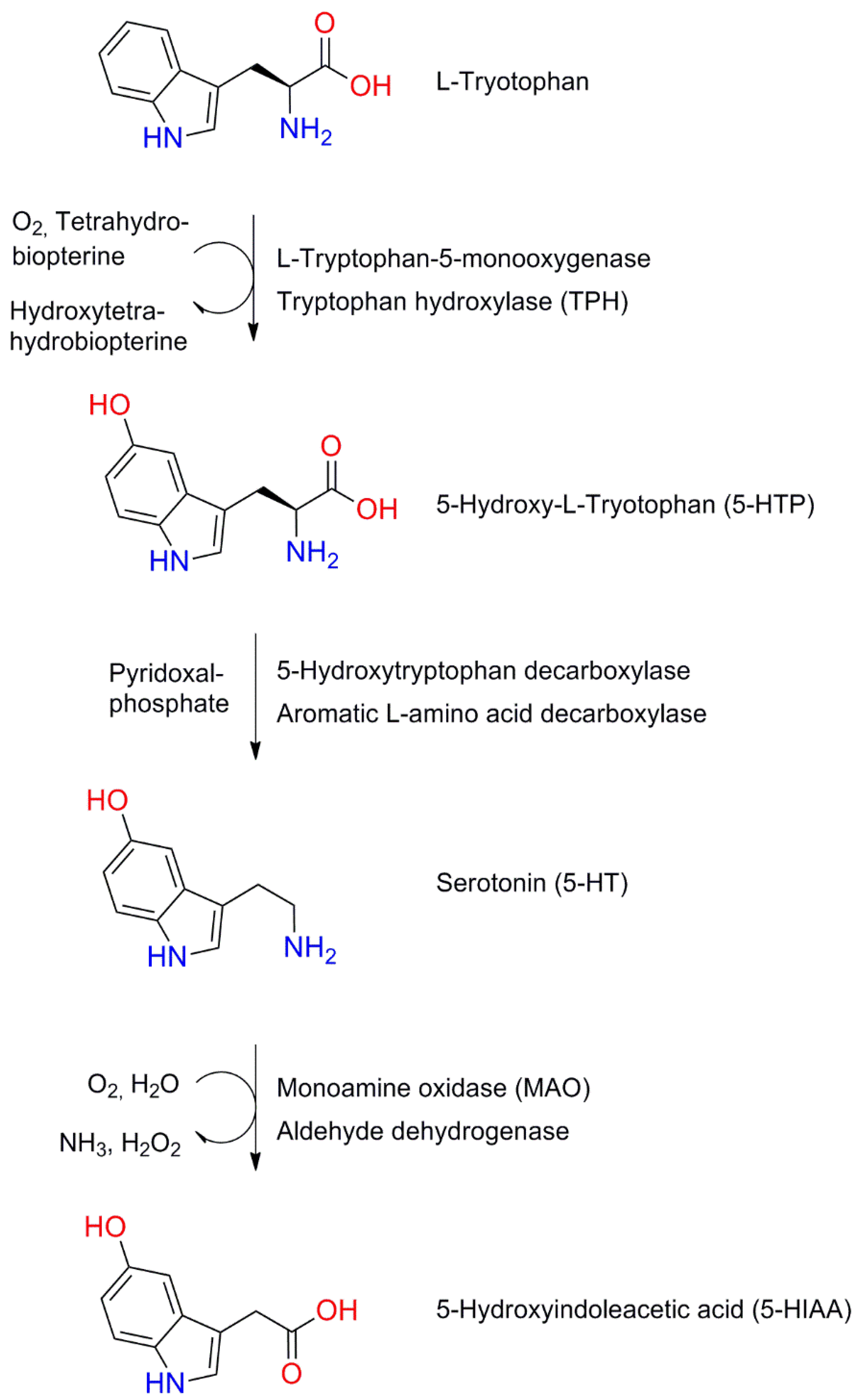 Molecules 26 02838 g004