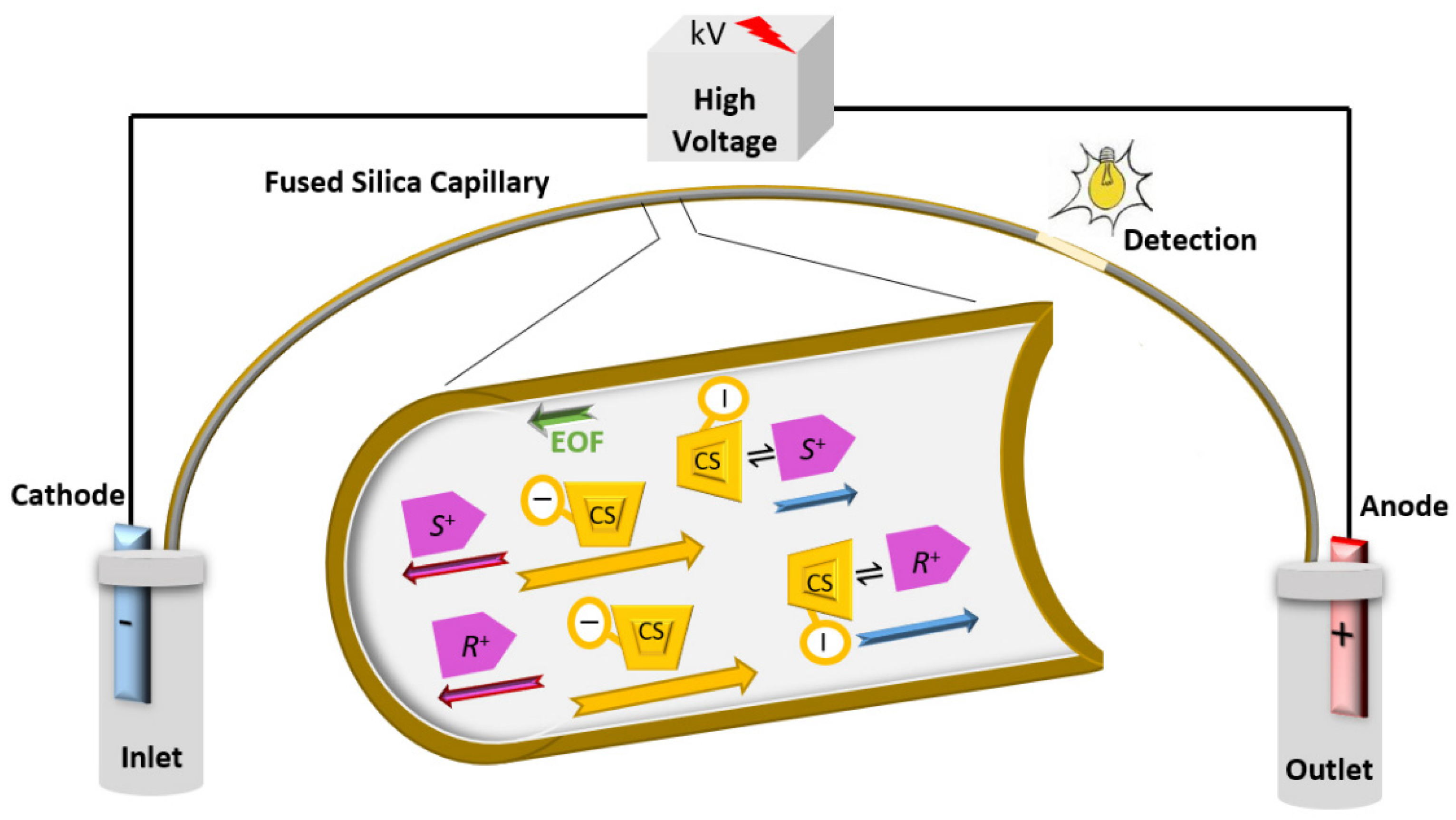 Molecules 26 02841 g002 Molecules 26 02841 g002