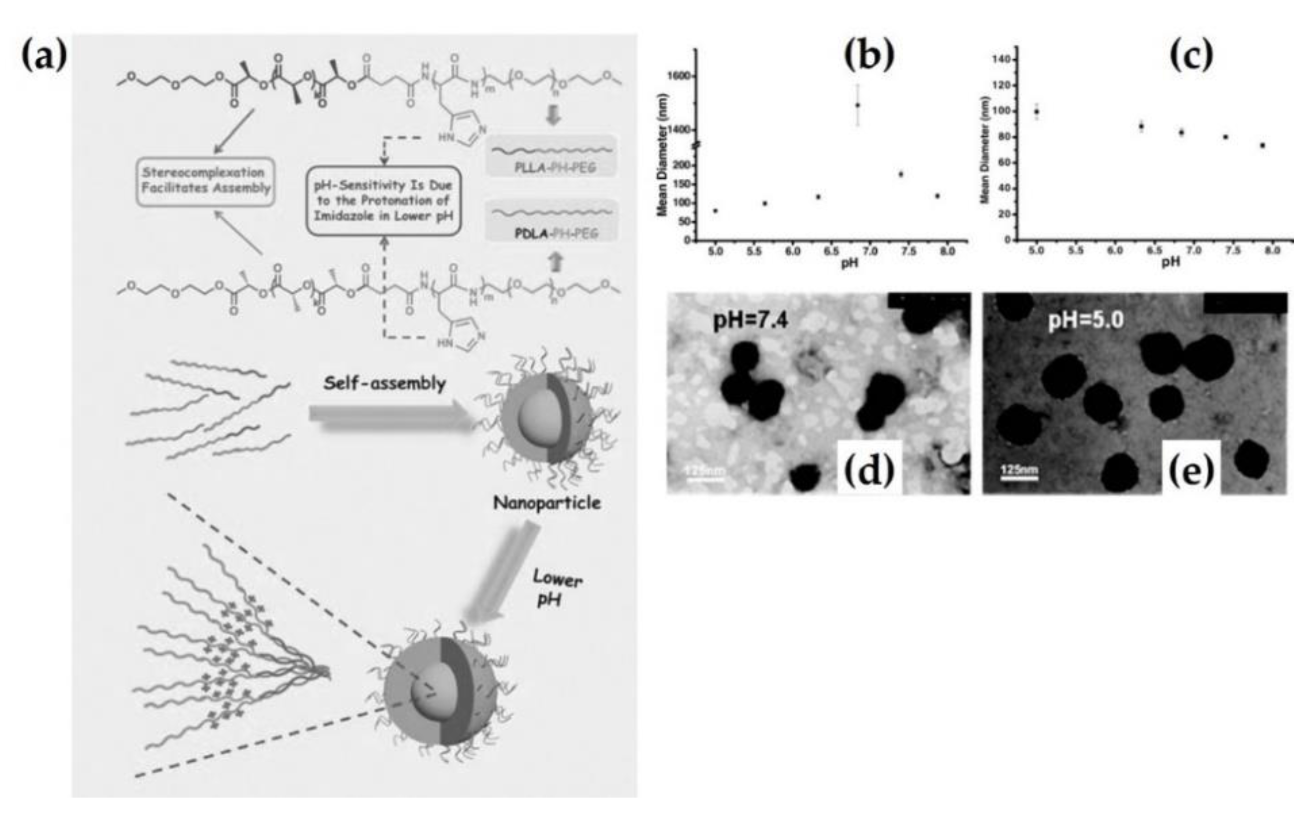 Molecules 26 02846 g003 Molecules 26 02846 g003