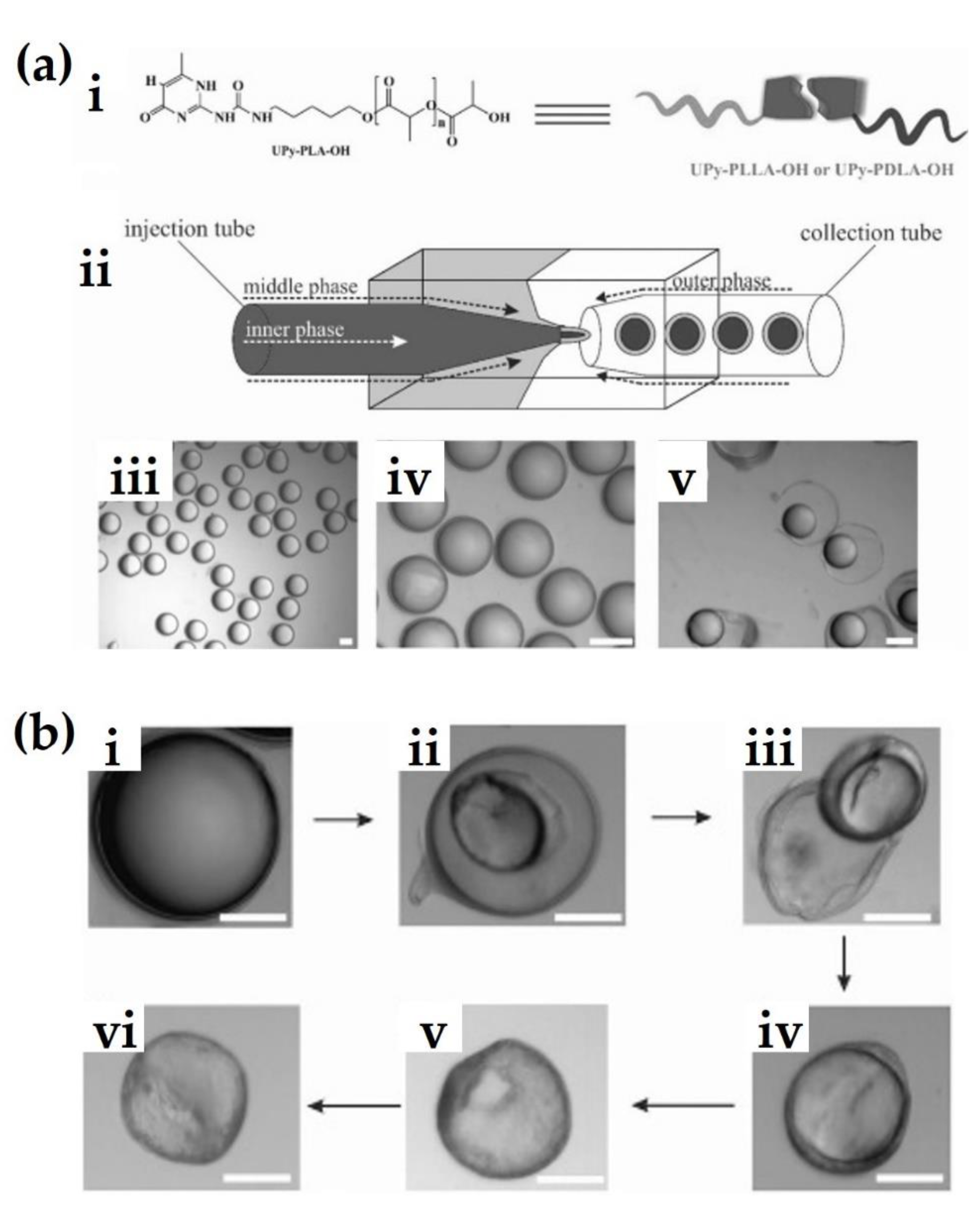 Molecules 26 02846 g005 Molecules 26 02846 g005
