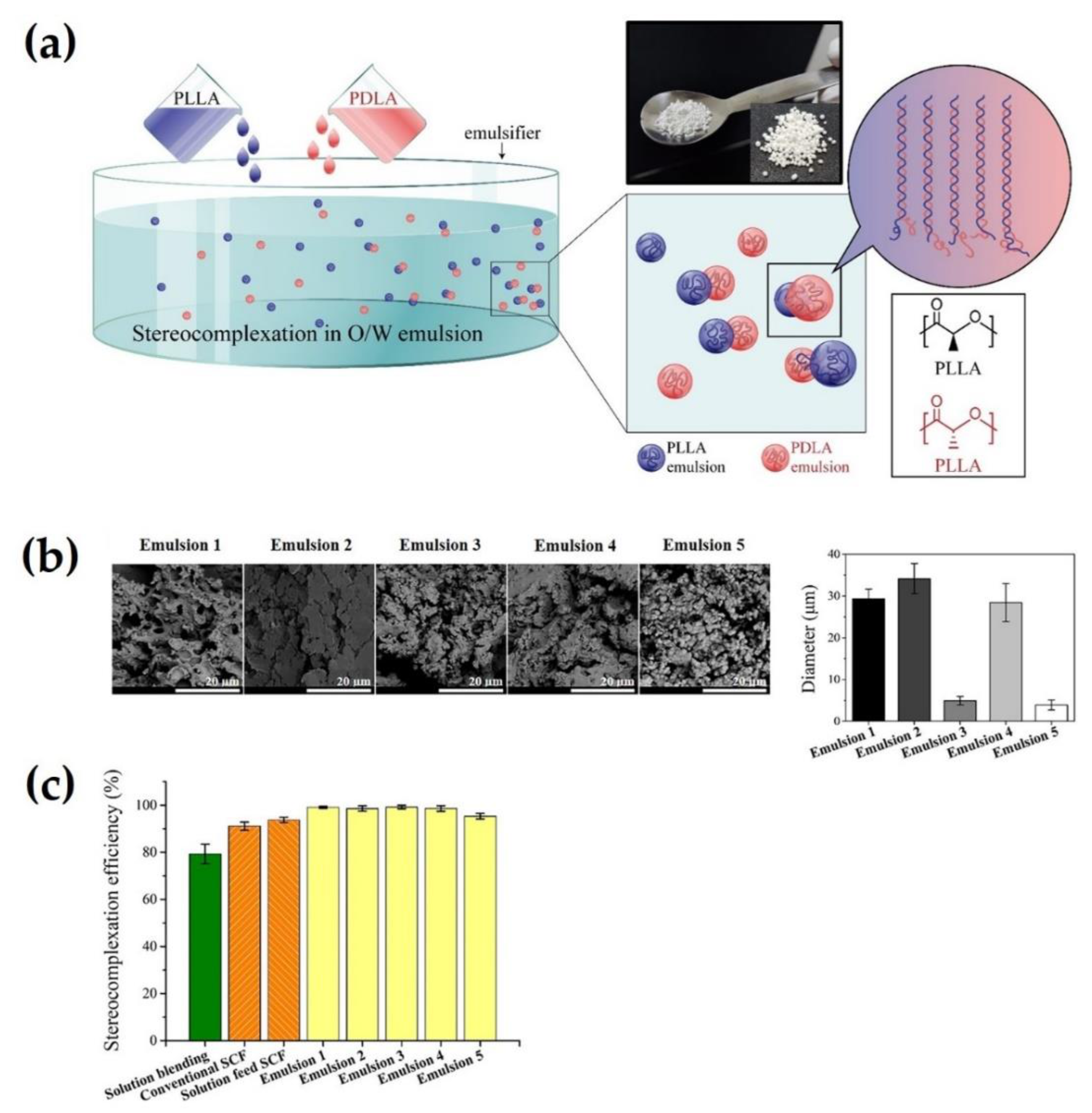 Molecules 26 02846 g006 Molecules 26 02846 g006