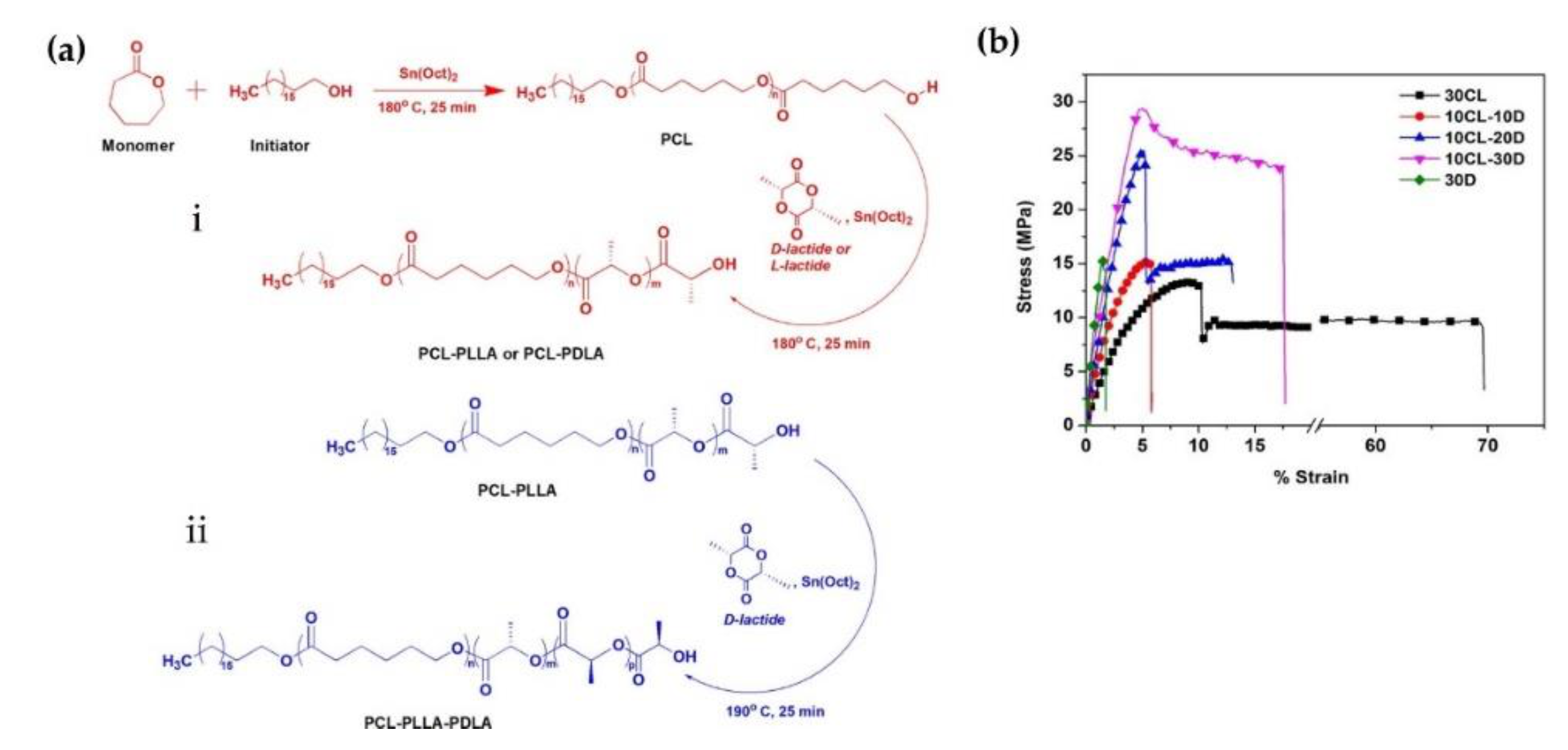 Molecules 26 02846 g015 Molecules 26 02846 g015