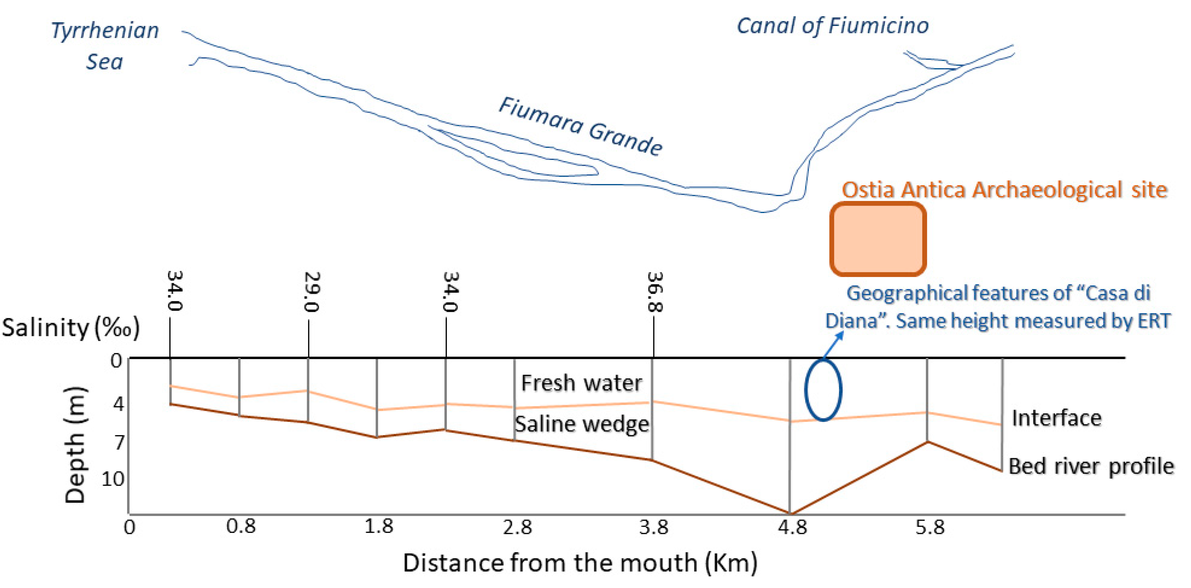 Molecules 26 02866 g006 Molecules 26 02866 g006