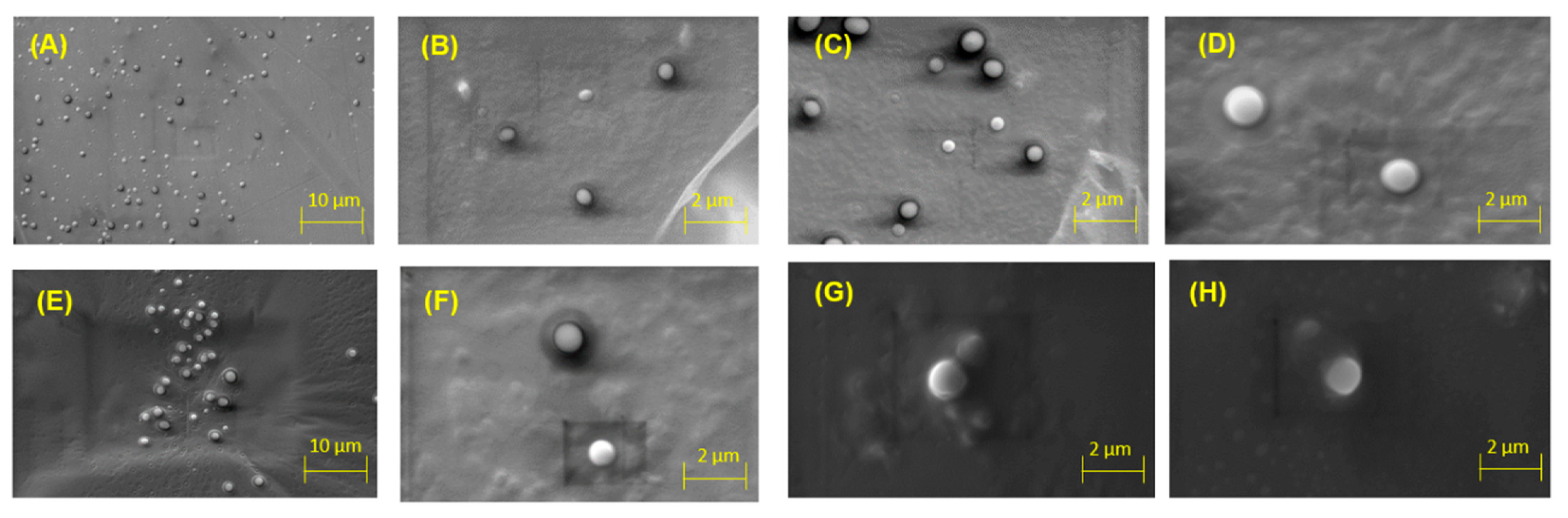 Molecules 26 02880 g003 Molecules 26 02880 g003