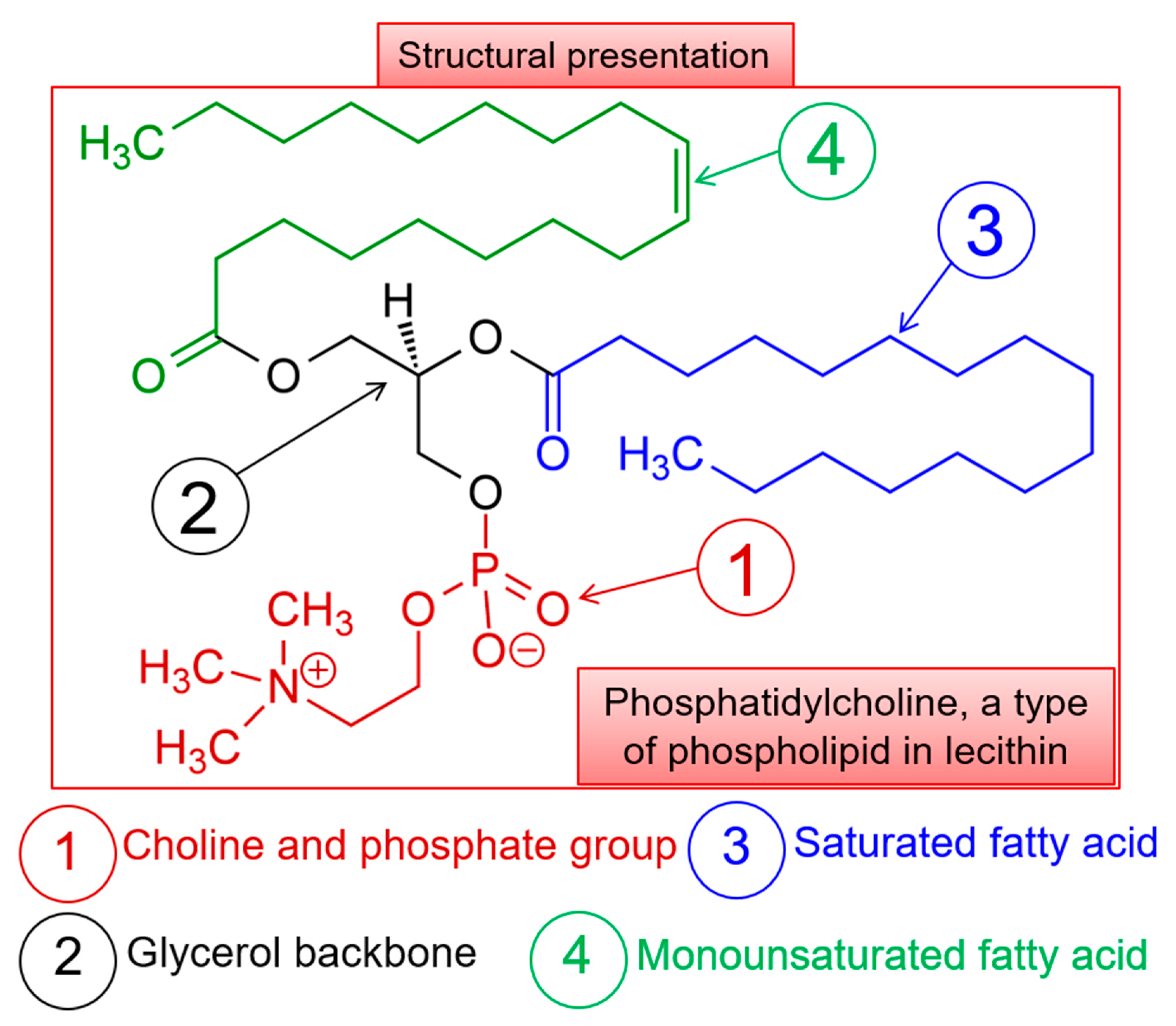 Molecules 26 02880 g008 Molecules 26 02880 g008